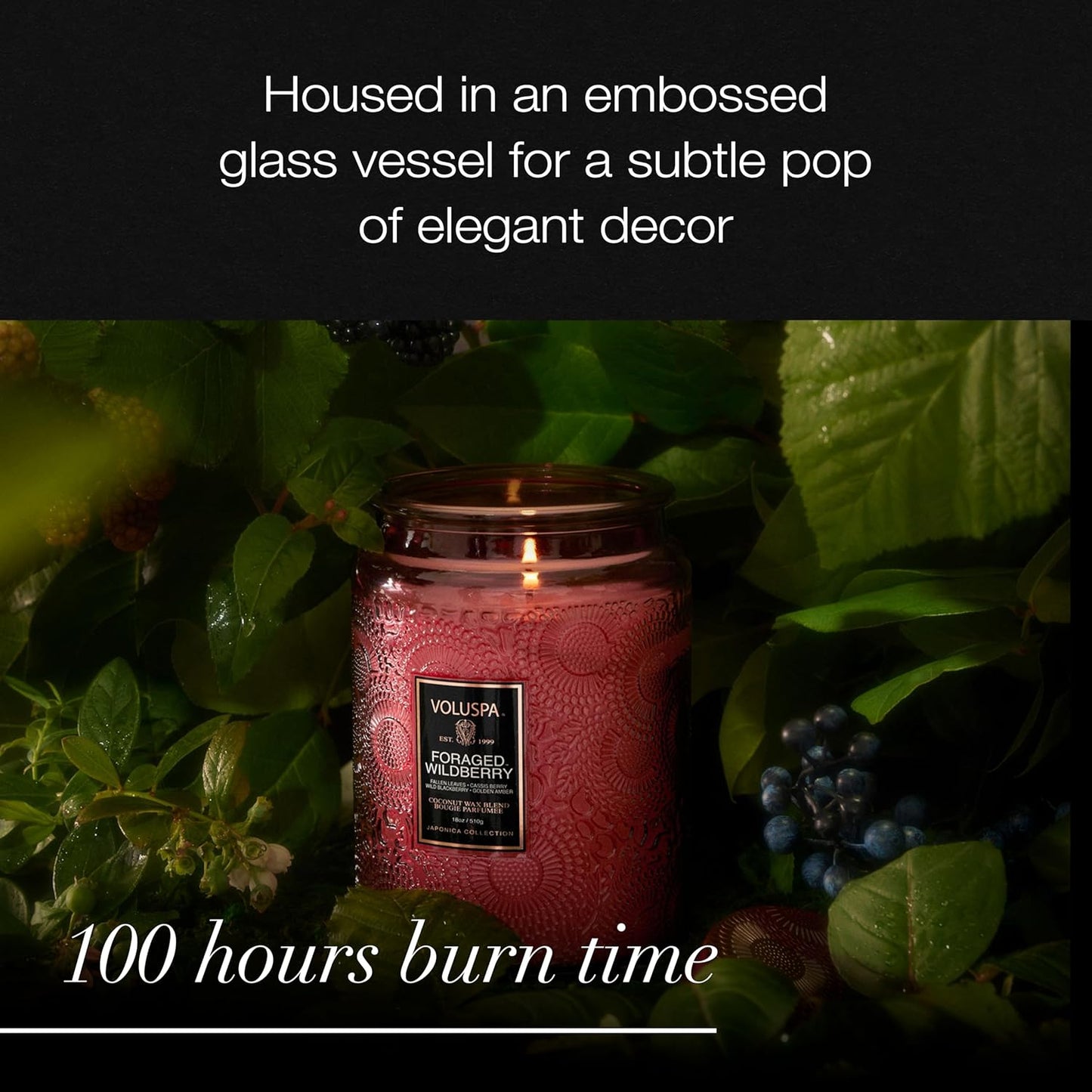 Voluspa Foraged Wildberry Soy Wax Jar Candle - 18 Oz, Spring-Summer