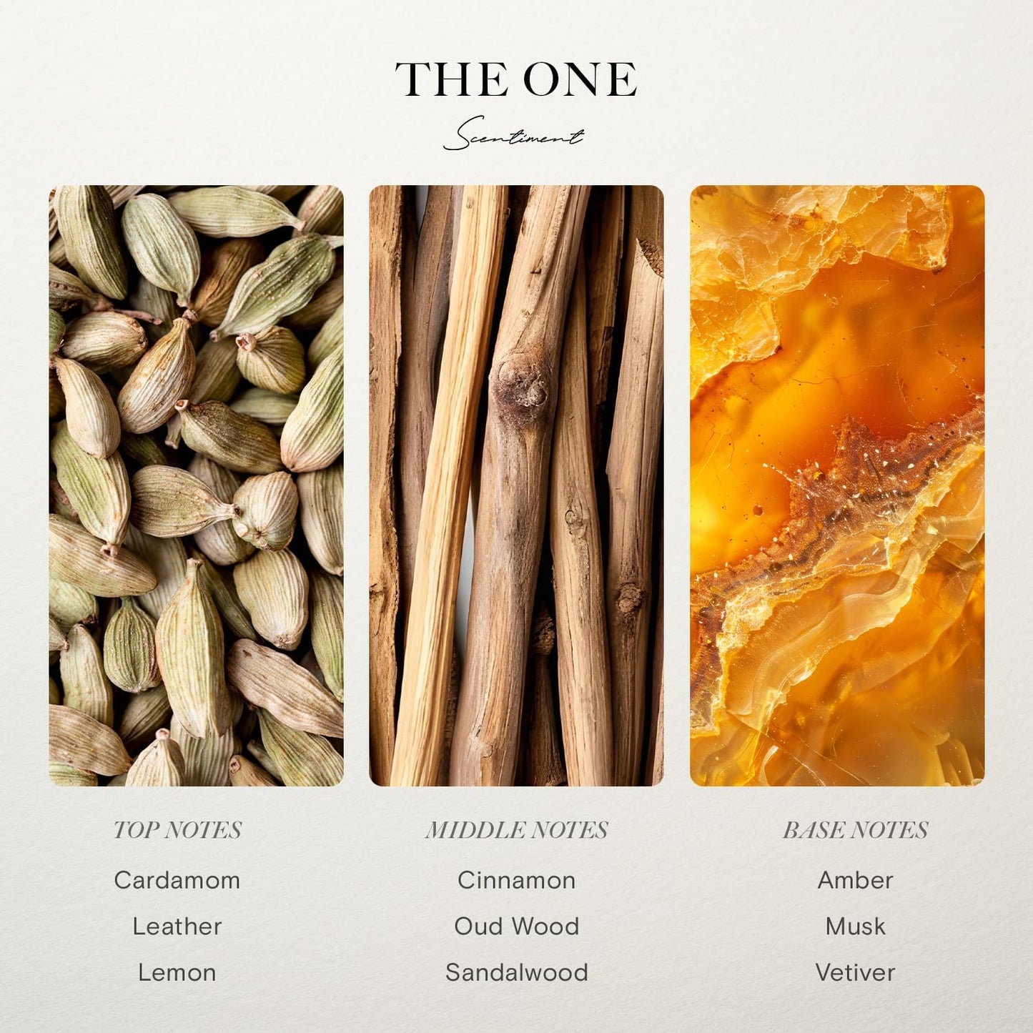 Scentiment Diffuser Oil - The One | Inspired by Luxury Five Star Hotel Lobby Scent | Aromatherapy Fragrance Oil | Notes of Cardamom, Leather, Lemon with Cinnamon & Sandalwood (20 mL)