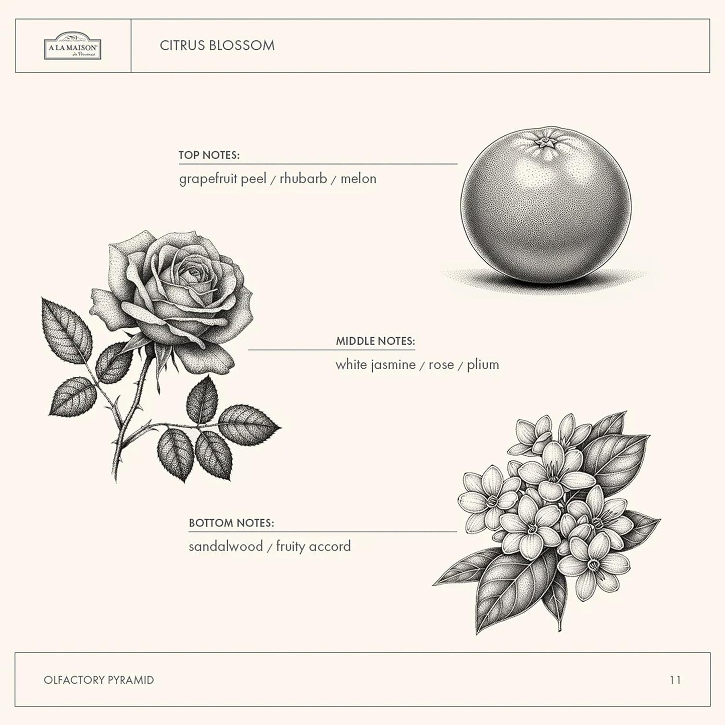 A LA MAISON Body Wash, Citrus Blossom, 25.36 Fluid Ounce