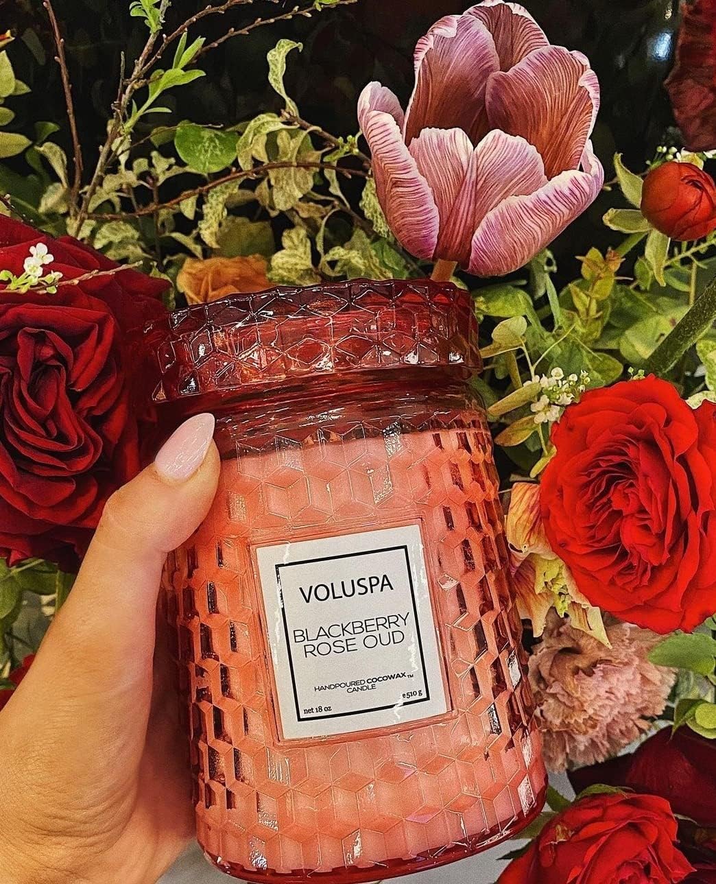 Voluspa BlackBerry Rose Oud Candle | Large Glass Jar Candle with Lid | 18 Ounces | 100 Hour Burn Time | Coconut Wax for Clean Burning | Handcrafted in The USA | Non-Toxic