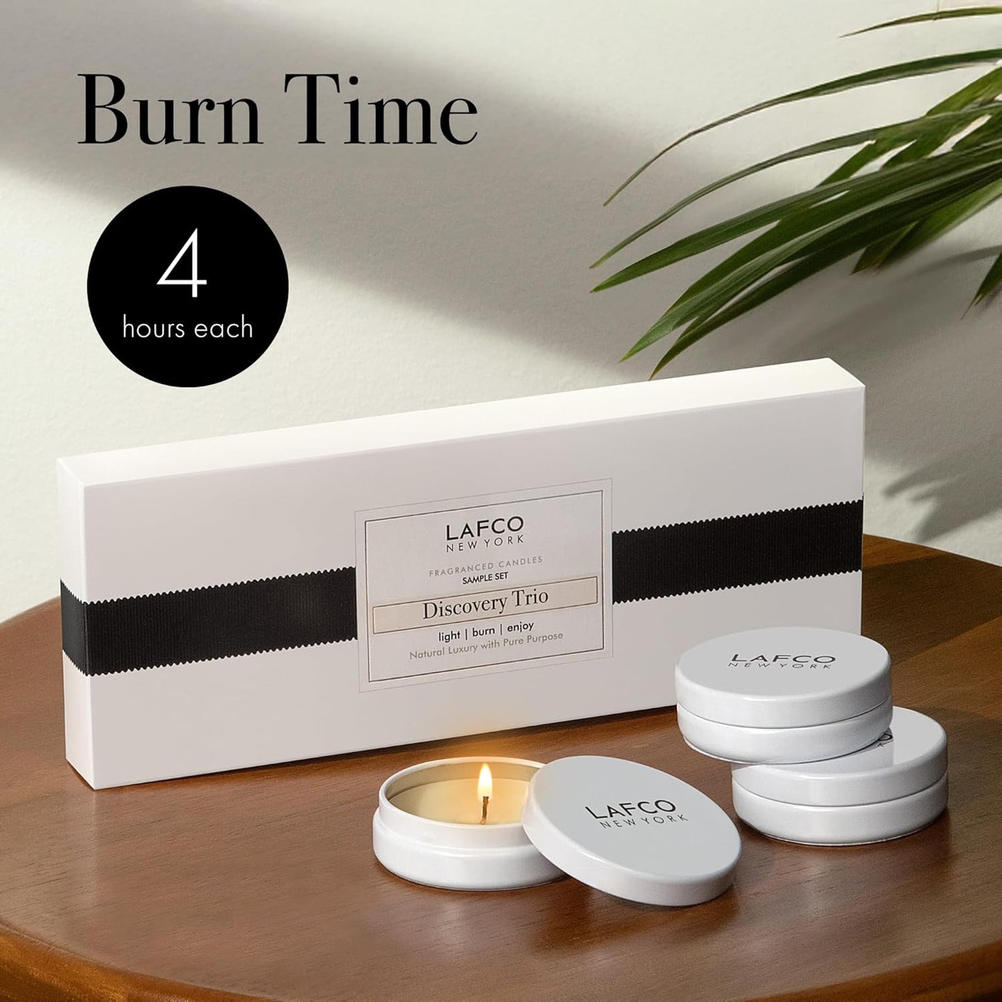 Discovery Trio Absolute: Forest Oakmoss, Lavender Flower & Clary Sage - 3 Fragranced Candle Sample Tins - 4-Hour Burn Time Each - Made in The USA