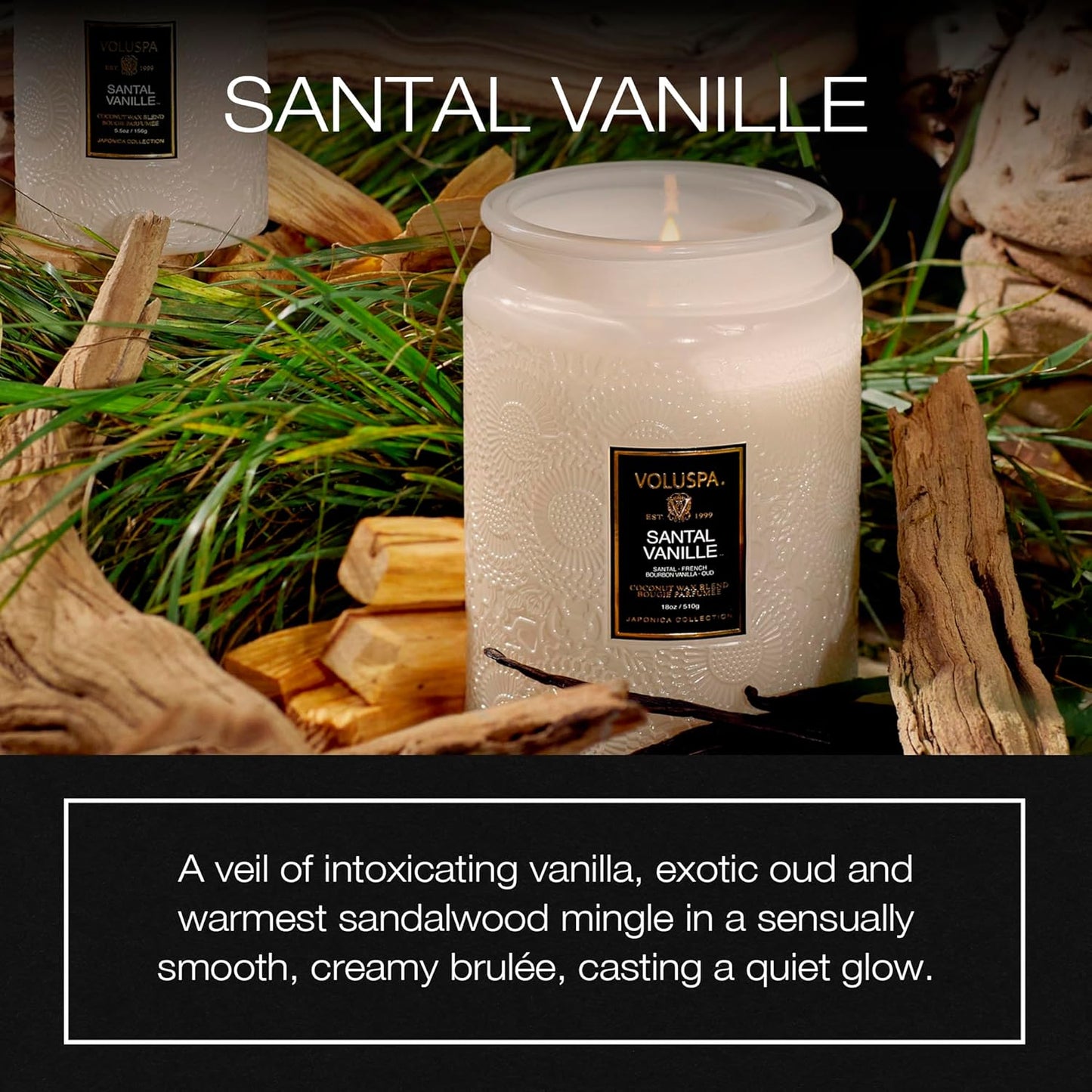 Voluspa Santal Vanille, Large Candle Jar, 18 oz, 100 Hour Burn Time, Coconut Wax for Clean Burning, Handcrafted in the USA