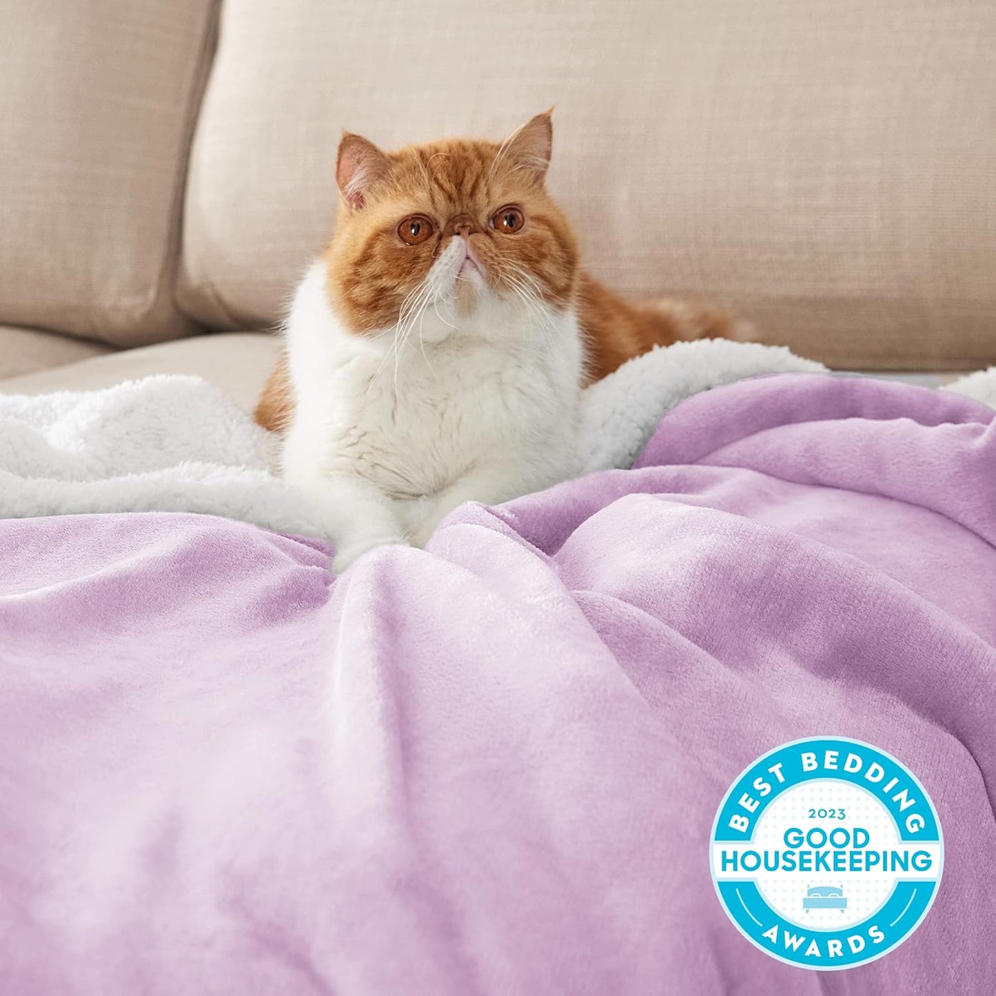 Bedsure GentleSoft Sherpa Fleece Blankets Queen Size for Bed - Thick and Warm Throw for Girls and Women, Soft Fuzzy Plush Queen Blanket for Winter, Lilac, 90x90 Inches