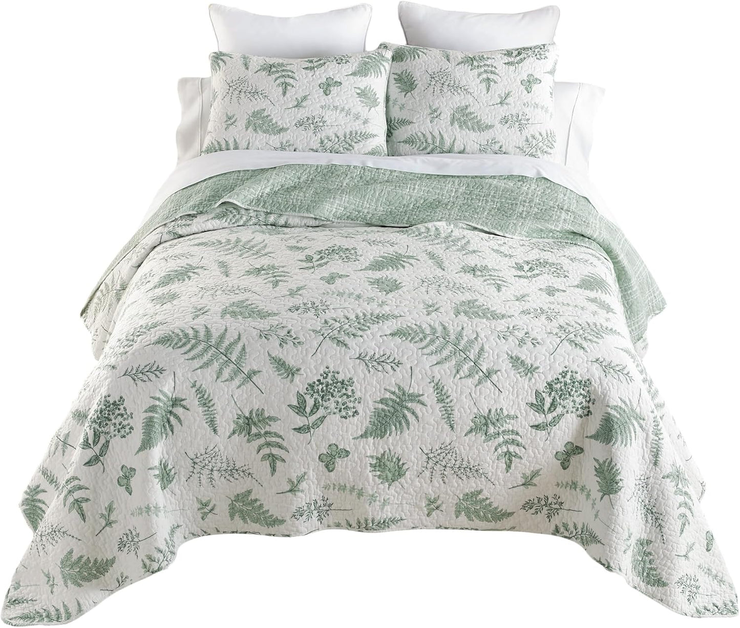 Donna Sharp Queen Bedding Set - 3 Piece - Botanical Quilt Set with Queen Quilt and Standard Pillow Shams - Cotton - Machine Washable