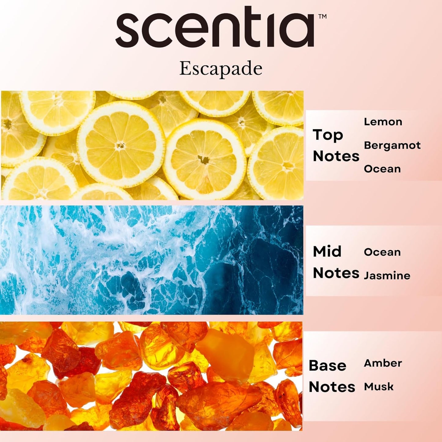 Scentia Hotel Diffuser Oil Inspired by 5-Star Hotel Scent - 20 mL 0.67 fl oz - Aromatherapy Fragrance Oil Inspired by 5 Star Hotel - Escapade, Thanksgiving Gift