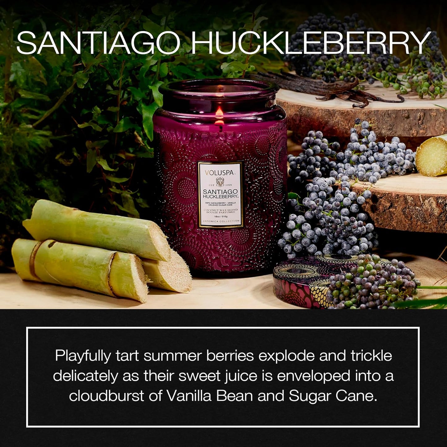 Voluspa Santiago Huckleberry, Large Candle Jar, 18 oz, 100 Hour Burn Time, Coconut Wax for Clean Burning, Handcrafted in the USA