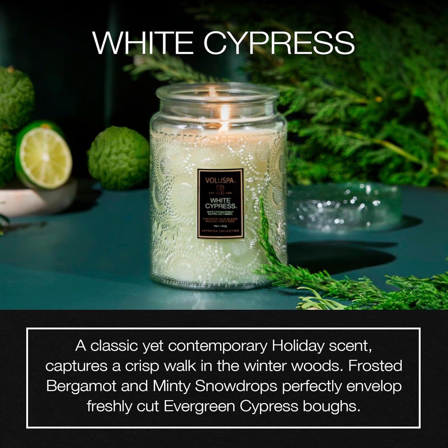 Voluspa White Cypress,Large Candle Jar,18 Ounce,100 Hour Burn Time, & Coconut Wax for Clean Burning,,Handcrafted in the USA