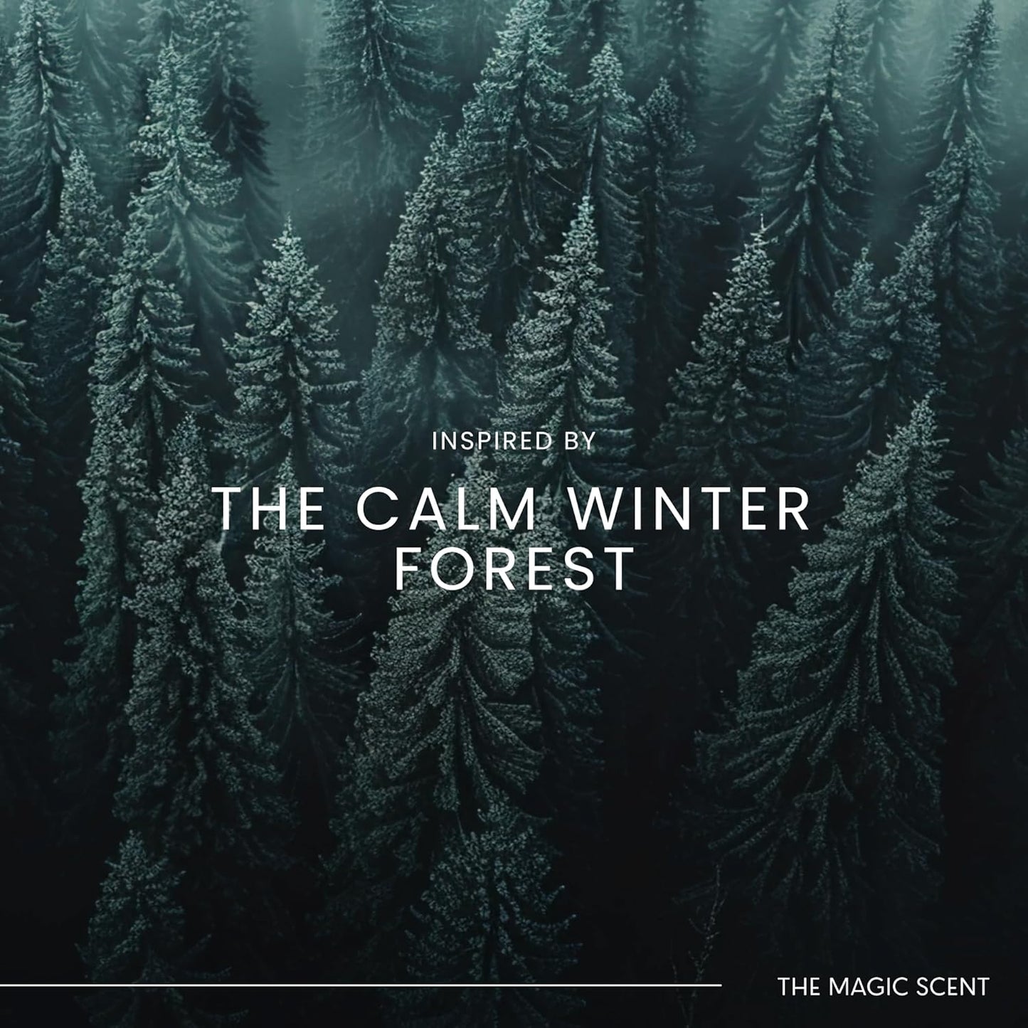 The Magic Scent Pine Aroma Oil - Diffuser Scent - Cold-Air & Ultrasonic Diffuser Oil - Pine Essential Aromatherapy - 8.5 fl oz, 250 mL