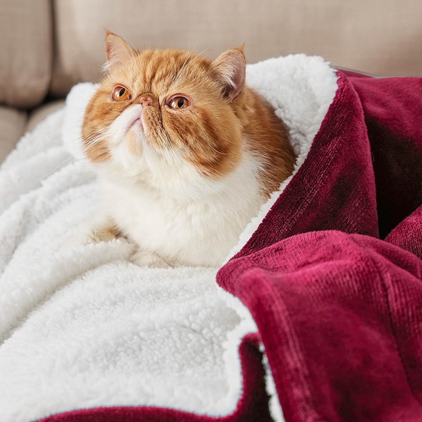 Bedsure GentleSoft Sherpa Fleece Blankets Queen Size for Bed - Thick and Warm Throw for Girls and Women, Soft Fuzzy Plush Queen Christmas Blanket for Winter, Red, 90x90 Inches
