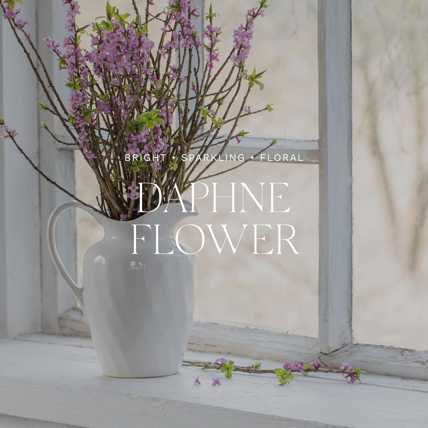 Antica Farmacista Home Ambiance Diffuser - Long-Lasting Reed Scent Diffuser - Luxury Room Freshener Gift - Daphne Flower, 16.9 fl oz