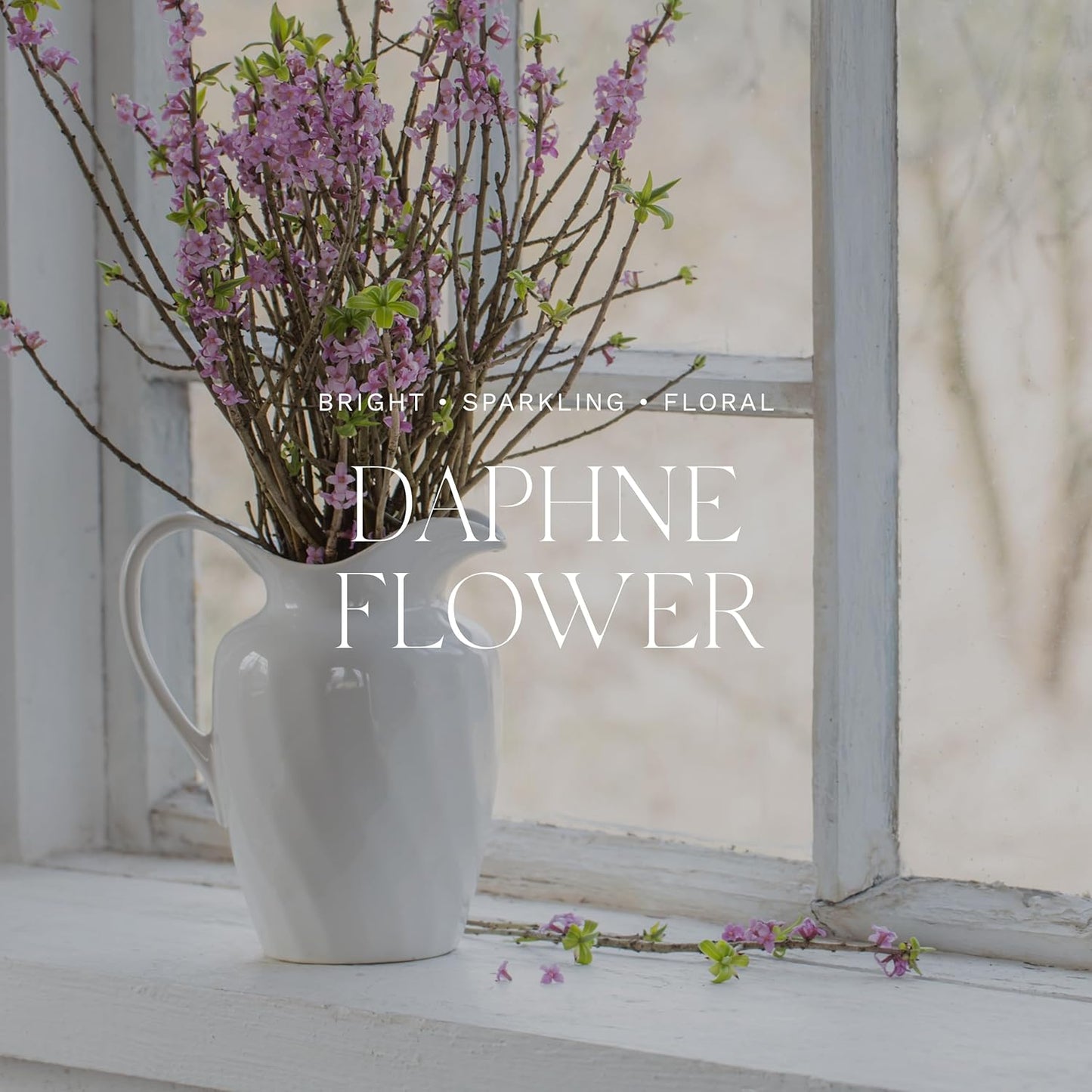 Antica Farmacista Luxury Scent Candle - Decorative Home Candle - Long-Lasting & Premium Scented - Luxury Gift - Daphne Flower, 9 oz