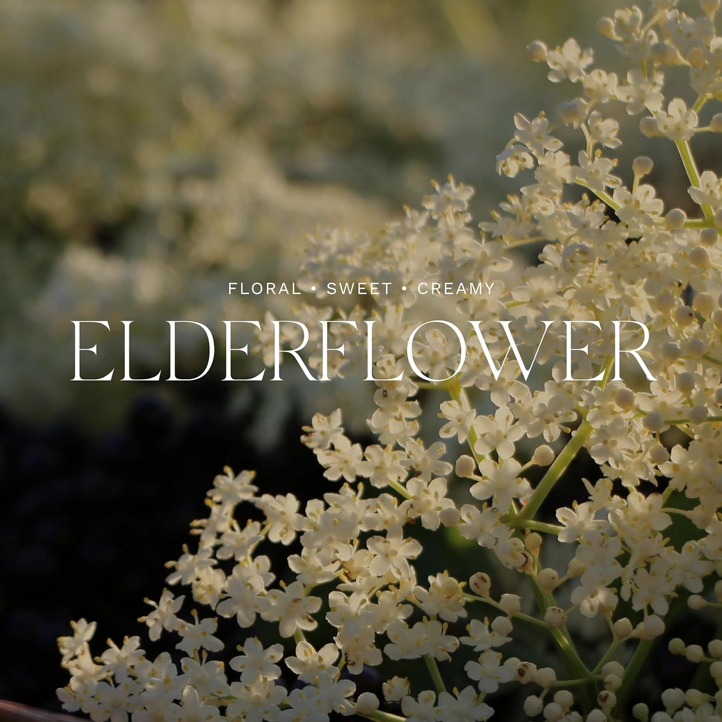 Antica Farmacista Bubble Bath - Relaxing Foam Bath with Honey, Jojoba Oil & Aloe Vera - Luxury Gift for Any Occasion - Elderflower, 16 fl oz