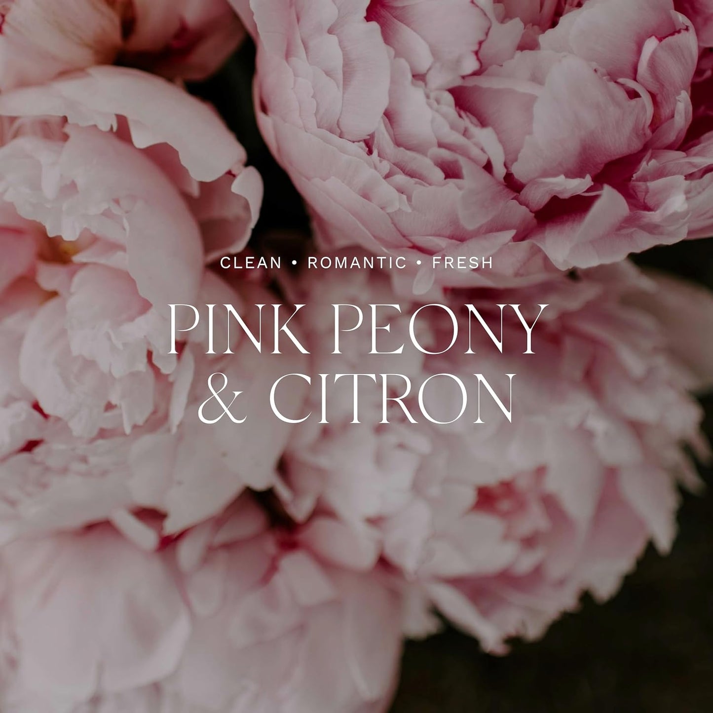 Antica Farmacista Home Ambiance Diffuser - Long-Lasting Reed Scent Diffuser - Luxury Room Freshener Gift - Pink Peony & Citron, 8.45 fl oz