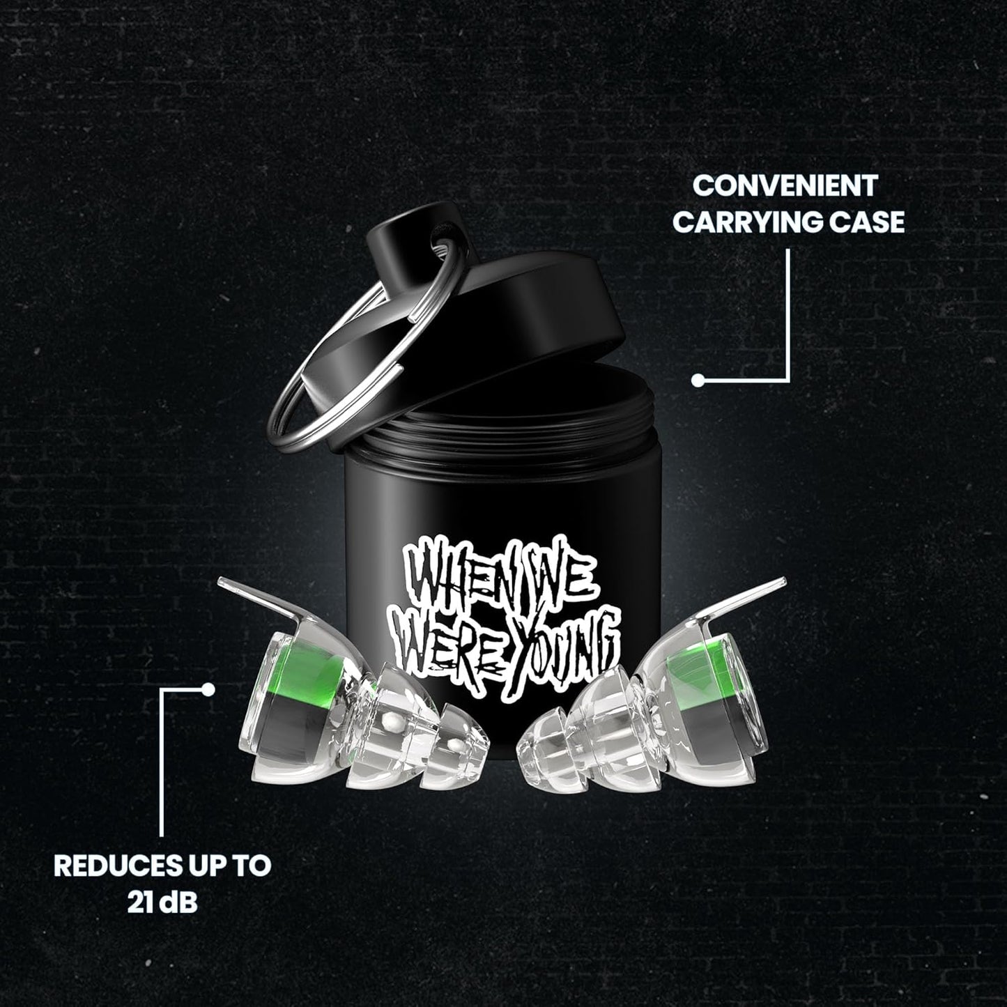 Eargasm High Fidelity Earplugs: When We were Young Edition - Noise Reducing Ear-Plugs for Hearing Protection at Music Festivals, Concerts, Raves, Live Events, Loud Environments and More