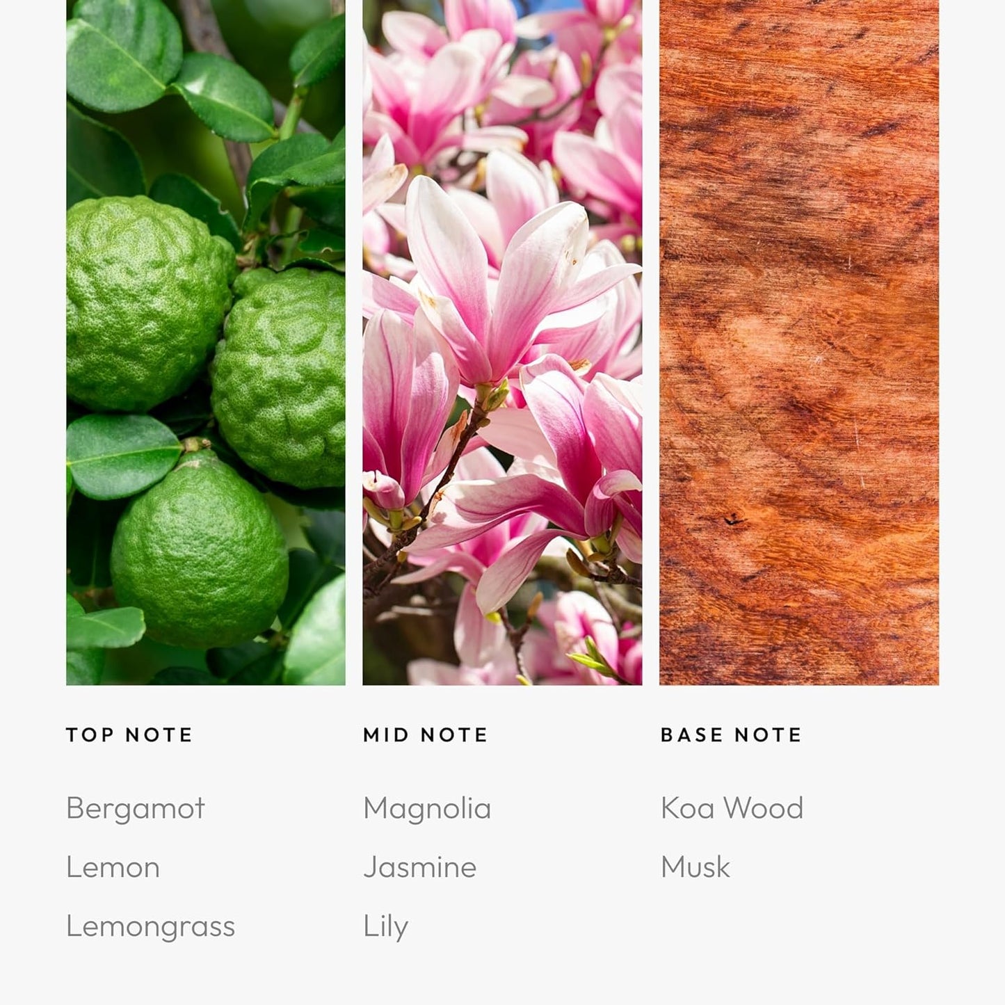 Aroma360-24K Magic Fragrance Oil Blend 50ML | Hotel Inspired Luxury Essential Oil Diffusers | Aromatherapy Scent Diffuser Oil | Citrus Beginning of Bergamot, Lemon & Lemongrass with Notes of Jasmine