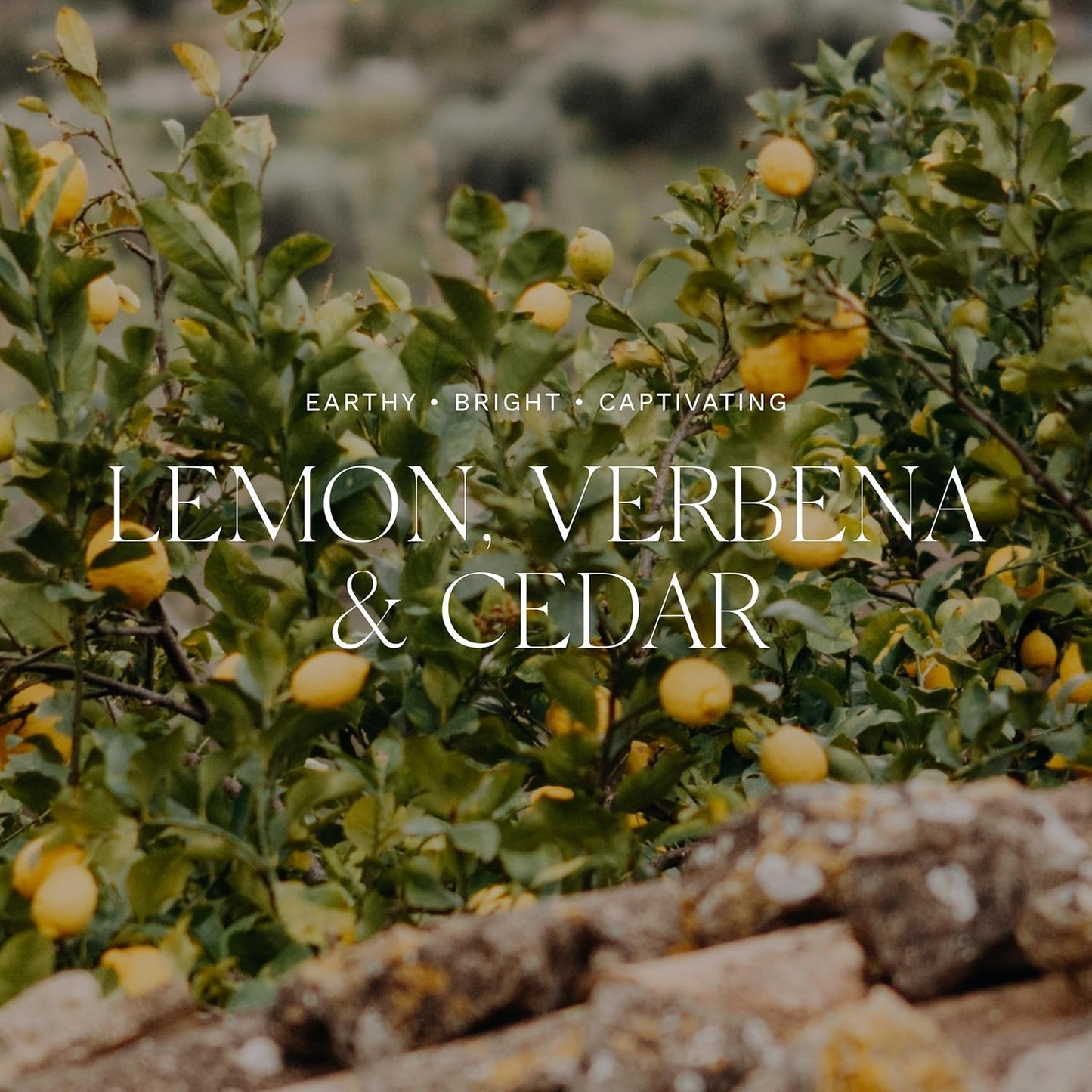 Antica Farmacista Home Ambiance Diffuser - Long-Lasting Reed Scent Diffuser - Luxury Room Freshener Gift - Lemon, Verbena & Cedar, 3.4 fl oz