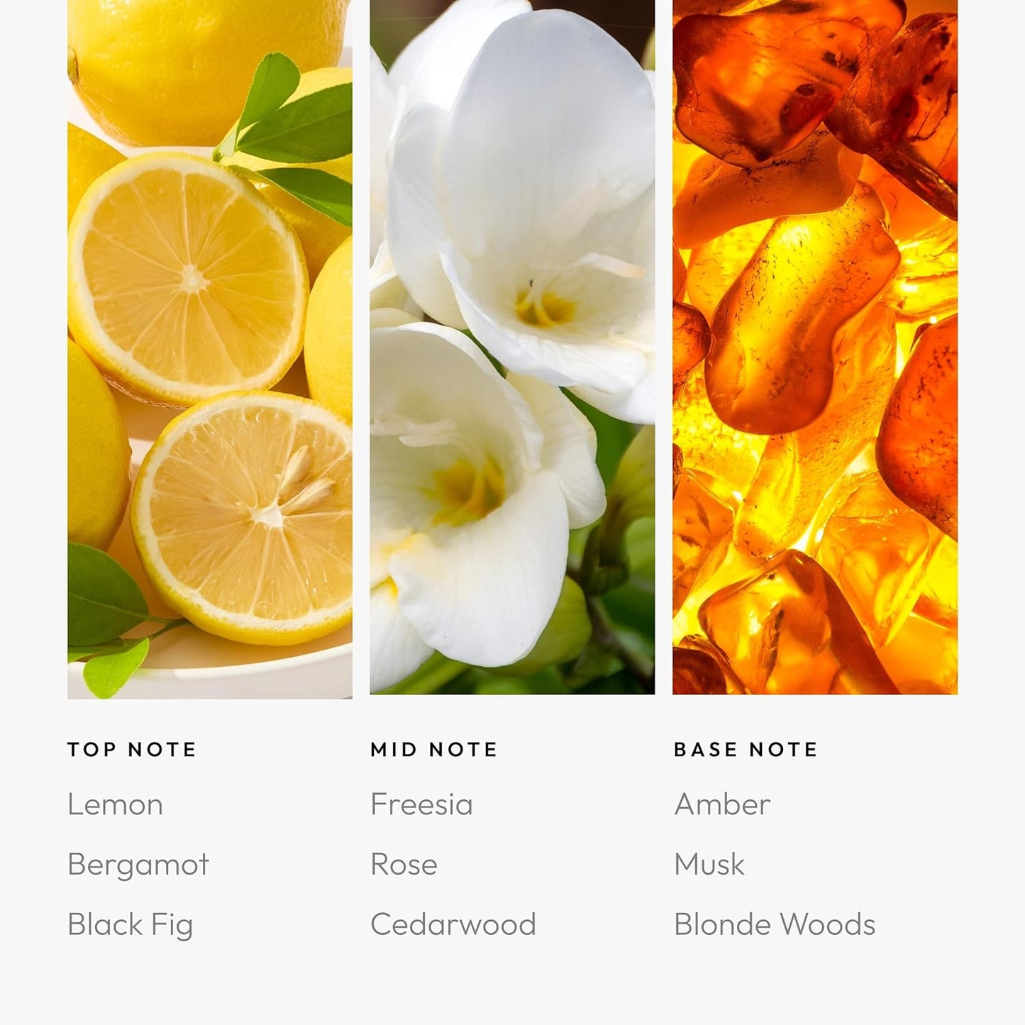 Aroma360 - Black Velvet Oil Blend - Aromatherapy Essential Fragrance Oil - Sandalwood, Warm Virginia Cedar & Beautiful Iris - 120ML 4.1 Fl oz