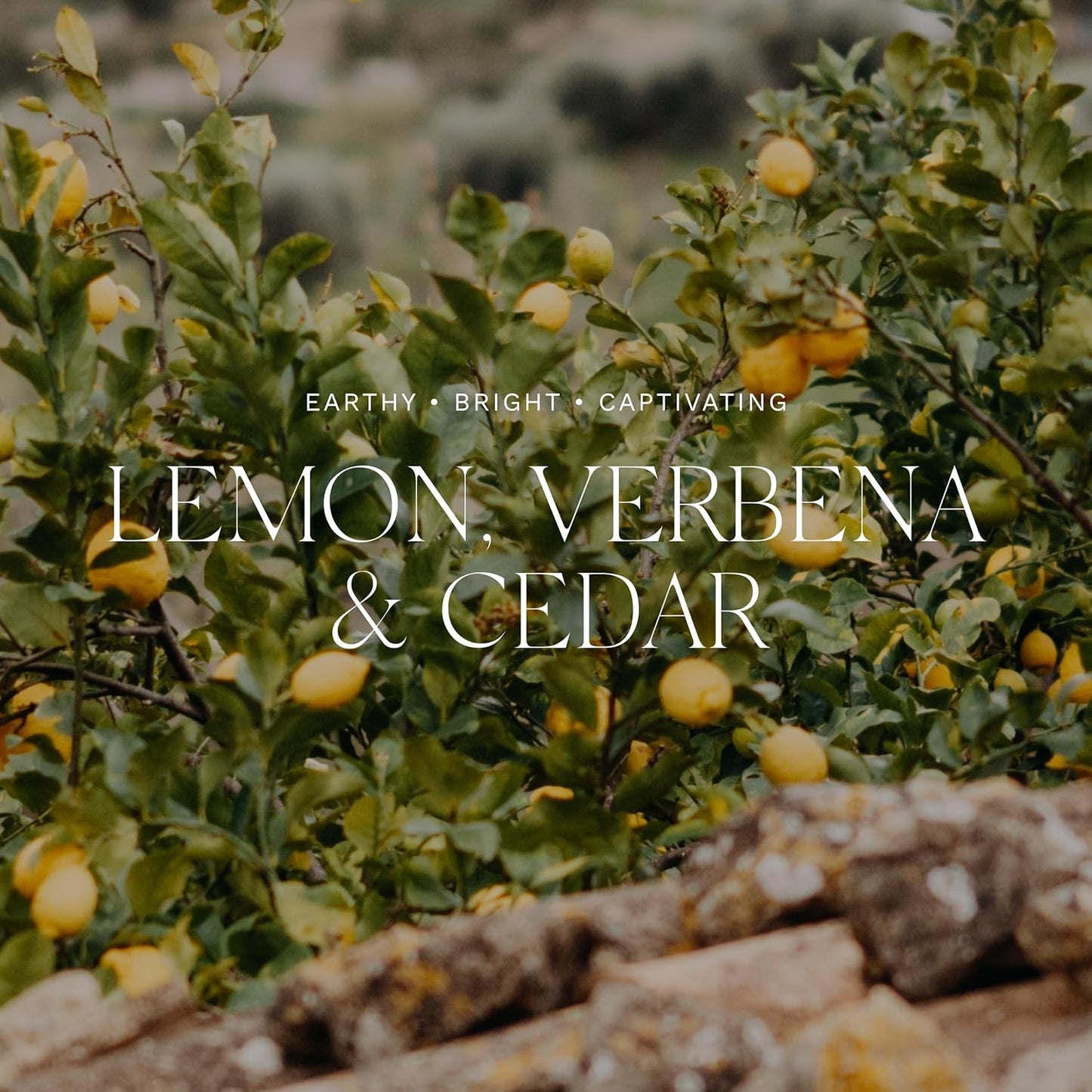 Antica Farmacista Acrylic Bath & Body Gift Set - Hand & Body Wash (10 oz), Body Moisturizer (10 oz) & Acrylic Tray - Self-Care Gift Box for Holidays, Birthdays & Housewarming - Lemon, Verbena & Cedar