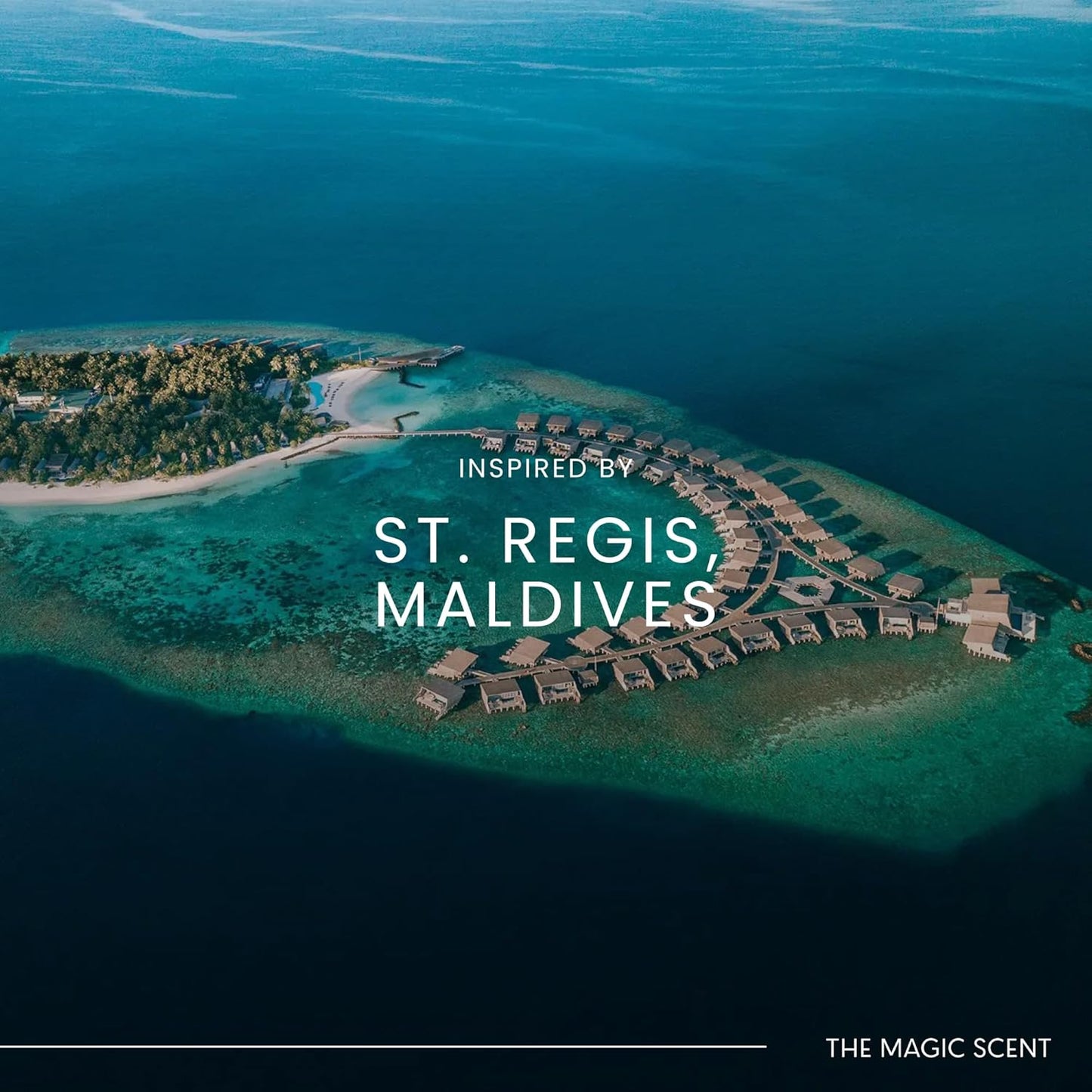 The Magic Scent Mandarin Blossom Diffuser Oil - Hotel & Home Luxury Scents Inspired by St. Regis Hotel, Maldives - Diffuser Oil Scents for Home Designed for Use in All Diffusers - 8.5 fl oz, 250 mL