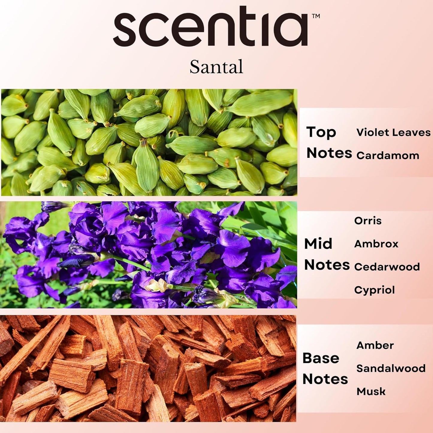 Santal Diffuser Oil – Premium 20ml Santal-Inspired Blend – Sandalwood, Amber, Musk, Cedar, Cardamom – Luxury Fragrance Oil for Ultrasonic & Waterless Diffusers – Made in USA, Thanksgiving Gift