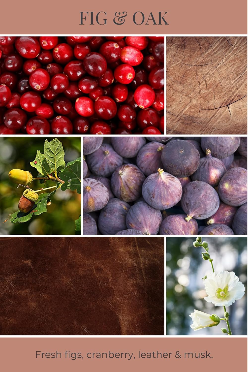 ECO CANDLE CO. Room & Linen Spray, Fig & Oak, 8 oz. - Scents Of Figs, Cranberries, Leather, & Musk - Recycled Aluminum Bottle, No Propellents, Pump Top, All Natural Ingredients