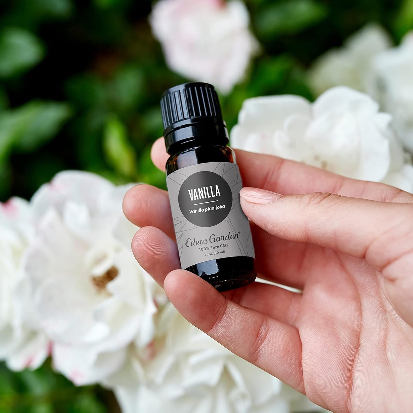 Edens Garden Vanilla CO2 Essential Oil- 100% Pure Premium Grade, Undiluted, Natural, Therapeutic, Aromatherapy, The Best for Diffuser, Skin, Candle, Humidifiers 10 ml (.33 fl oz)
