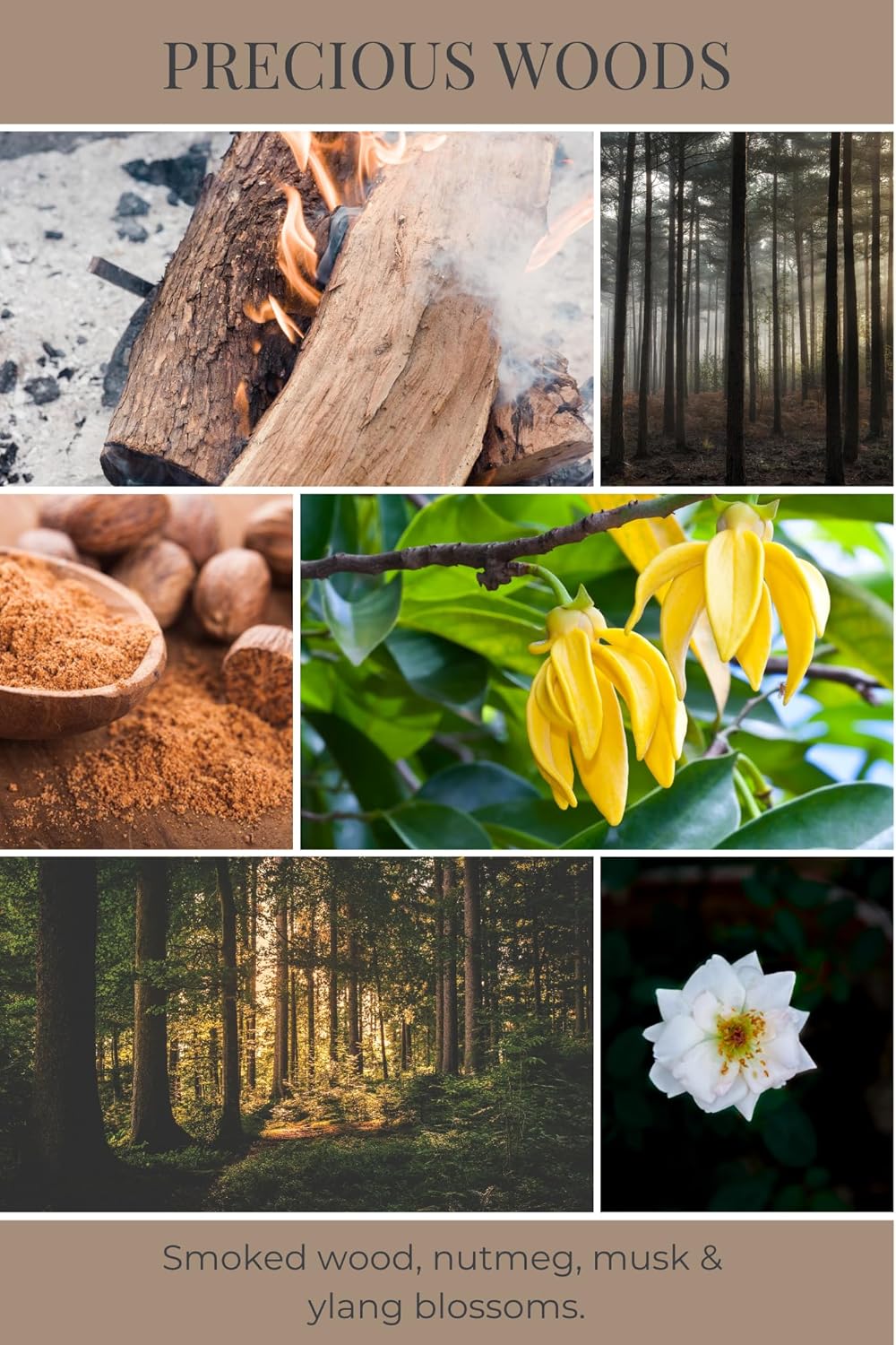 ECO CANDLE CO. Room & Linen Spray, Precious Woods, 8 oz. - Scents Of Smoked Wood, Nutmeg, Musk, & Ylang - Recycled Aluminum Bottle, No Propellents, Pump Top, All Natural Ingredients