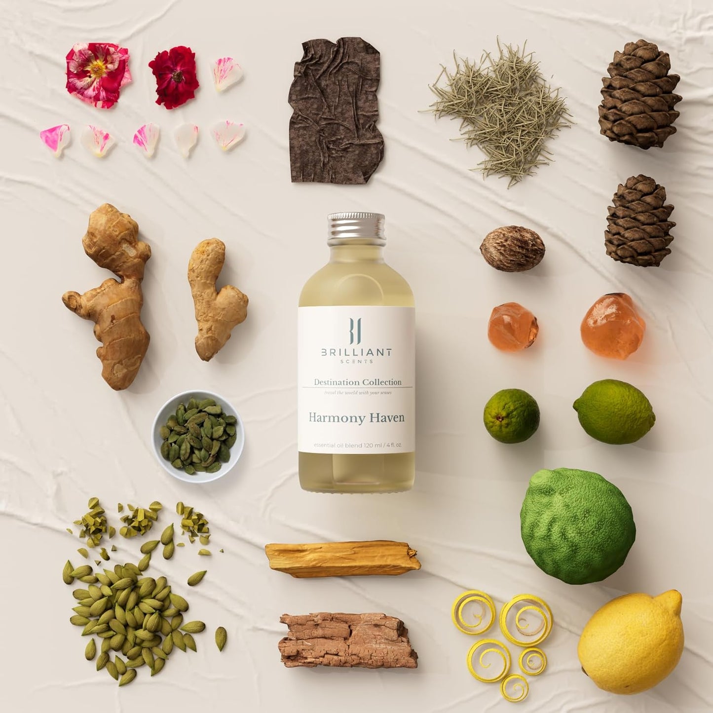 Brilliant Scents Harmony Haven Fragrance Oil 120ml - Premium Diffuser Oil for Home, Office, Hotels - Long Lasting, Plant-Based, Meets IFRA Standards, USA-Made - Citrus & Subtle Spice Scent