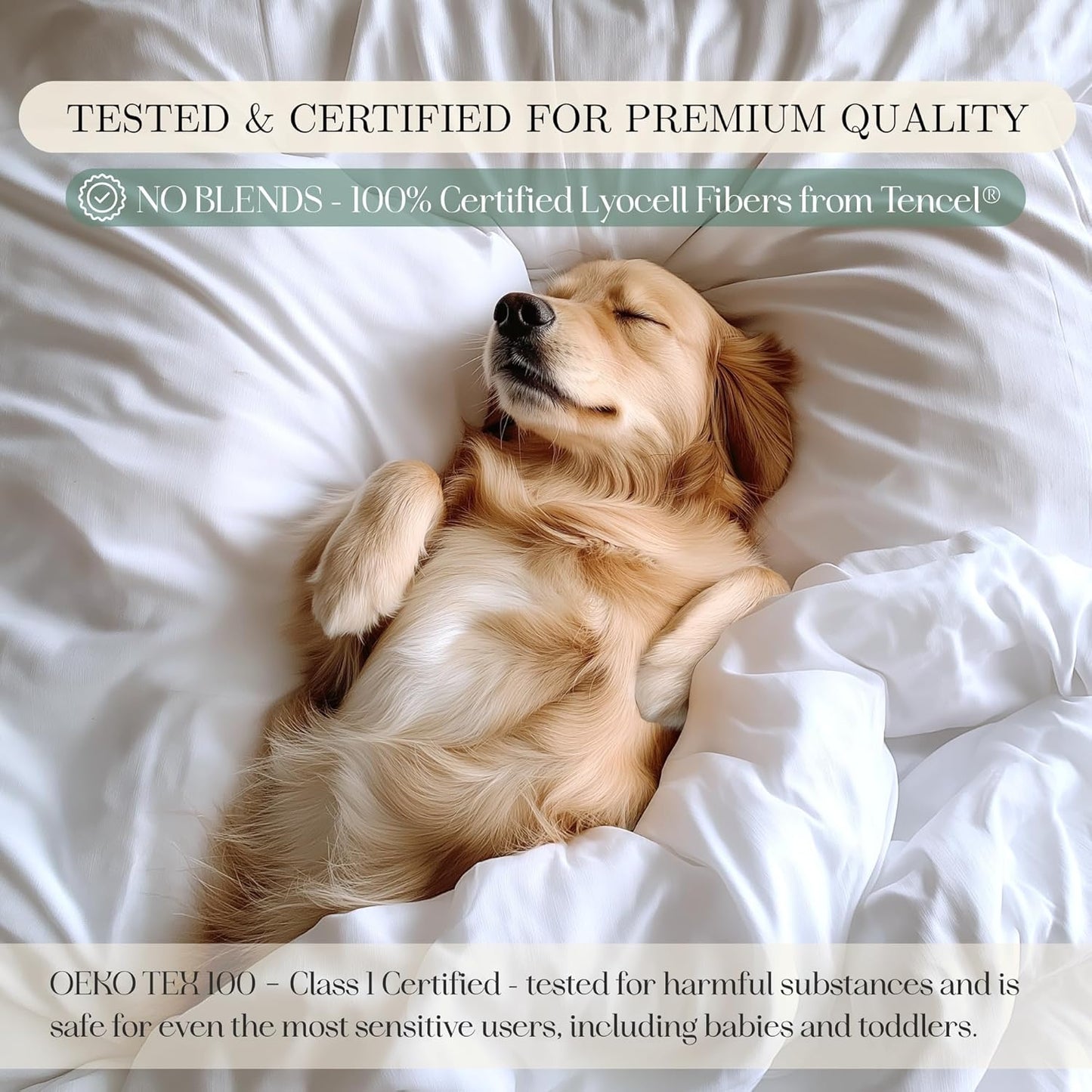CASILVA Eucalyptus Sheets - Infused with Silver for Anti-Odor, Softer Than Silk Fibers, More Cooling Than Cotton - Perfect for Hot Sleepers & Sensitive Skin - 100% Tencel Lyocell - Full Sheet Set