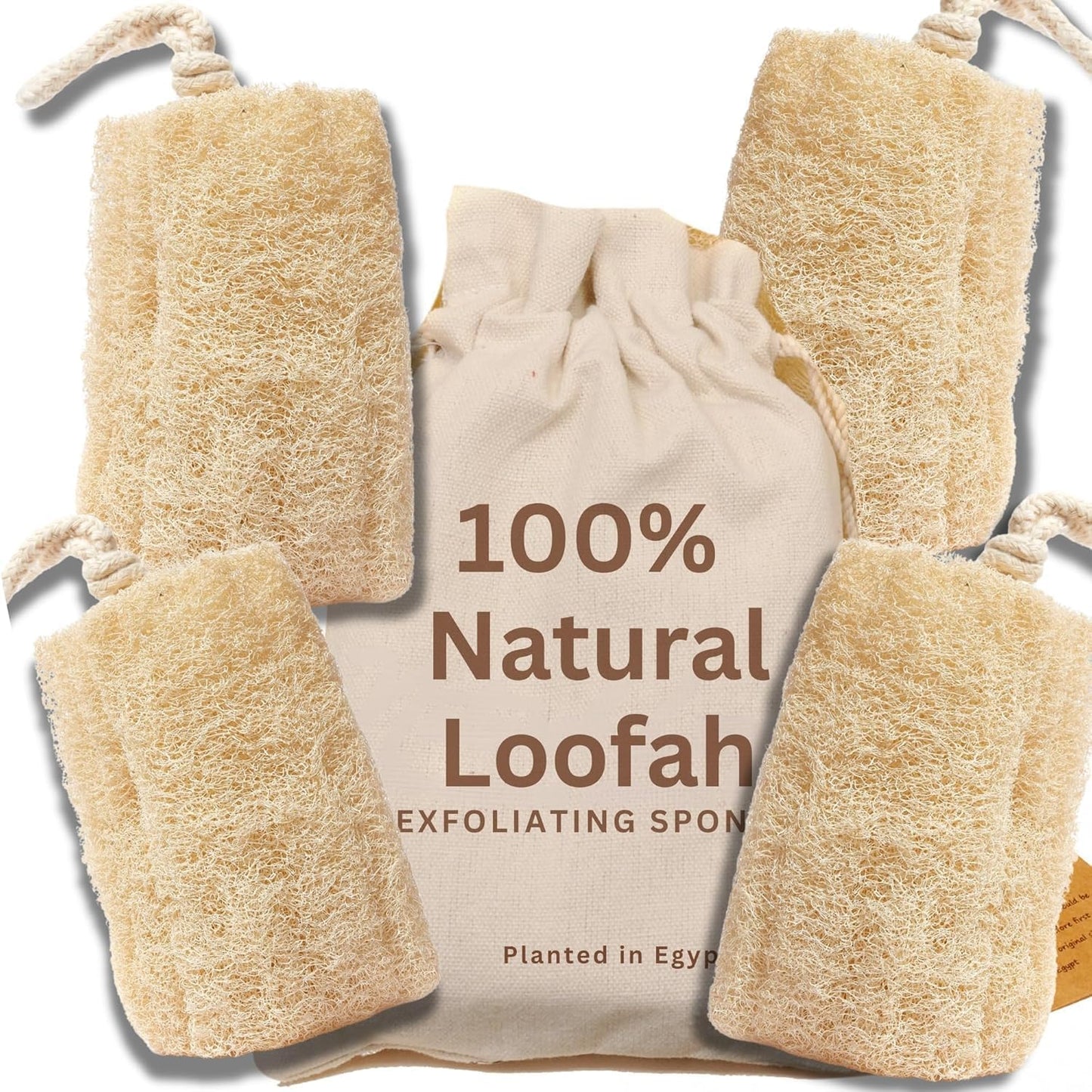 CraftsOfEgypt Natural Loofah Sponge – Egyptian Luffa Body Scrubber Pack of 4 for Men & Women, Natural Bath & Shower Loofah Exfoliator, All Natural Loofah Sponges for Face Back & Body, 6" x 6"