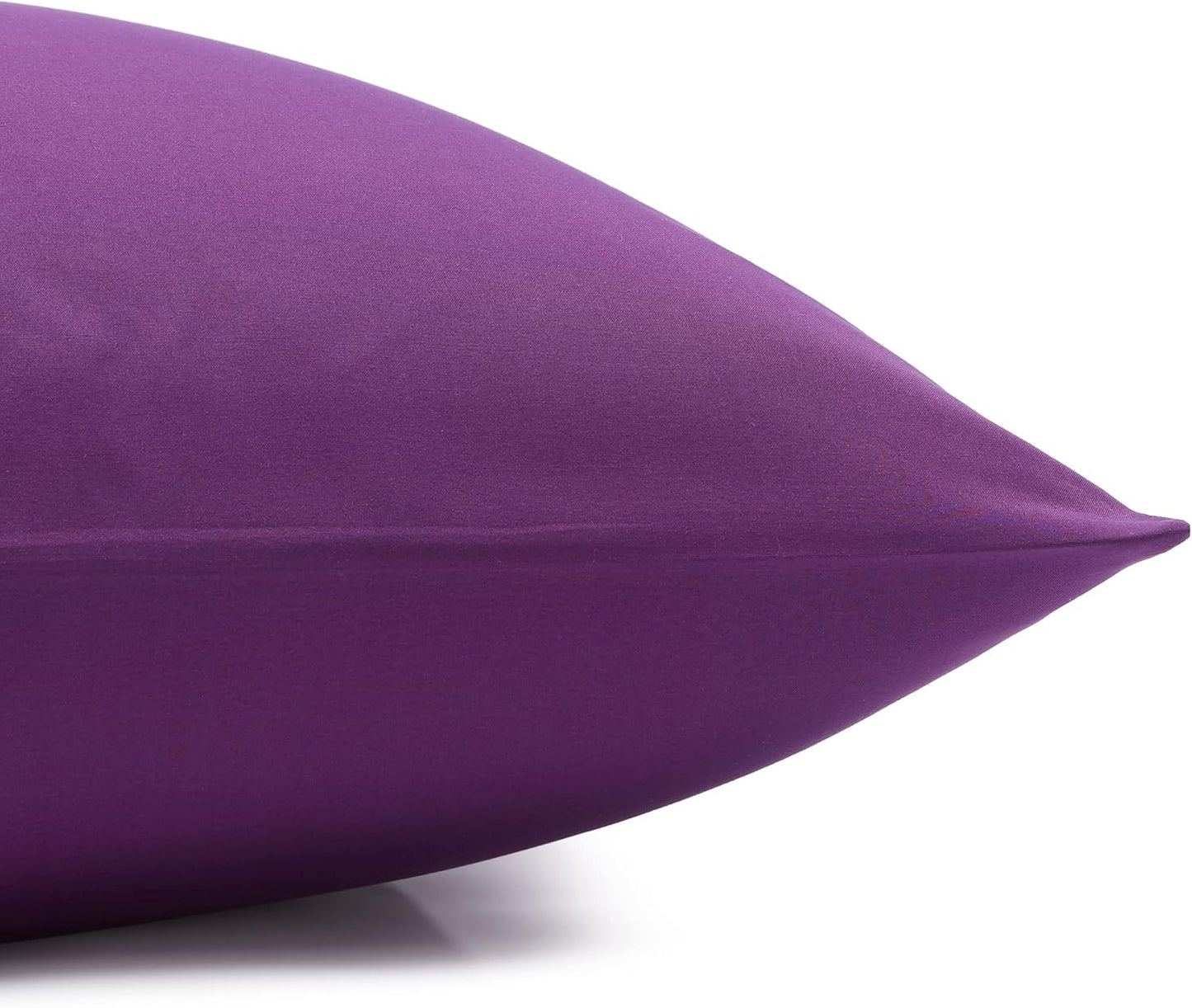 Amazon Basics Lightweight Super Soft, Comfortable Easy Care Microfiber 4 Piece Bed Sheet Set with 14-Inch Deep Pockets, Queen, Plum, Solid