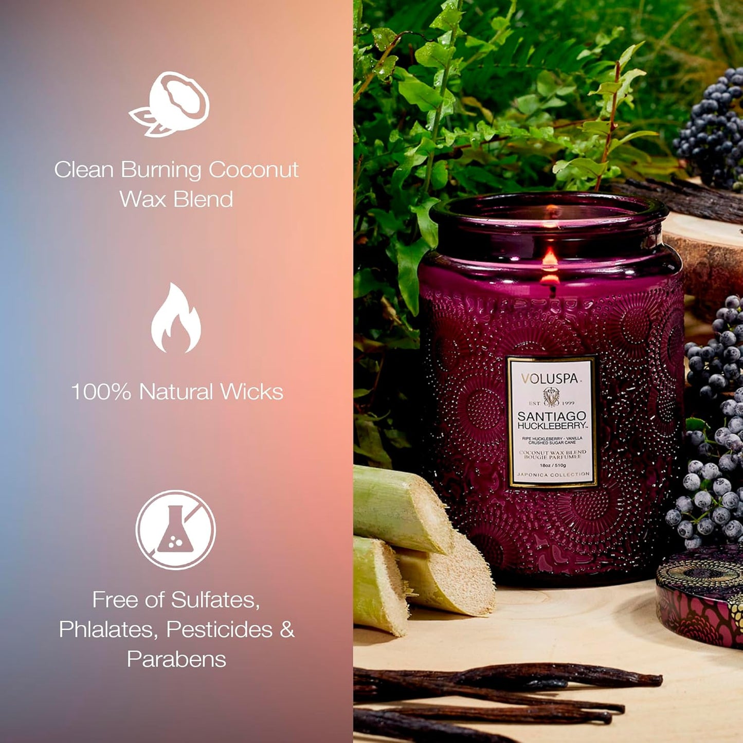 Voluspa Santiago Huckleberry, Large Candle Jar, 18 oz, 100 Hour Burn Time, Coconut Wax for Clean Burning, Handcrafted in the USA