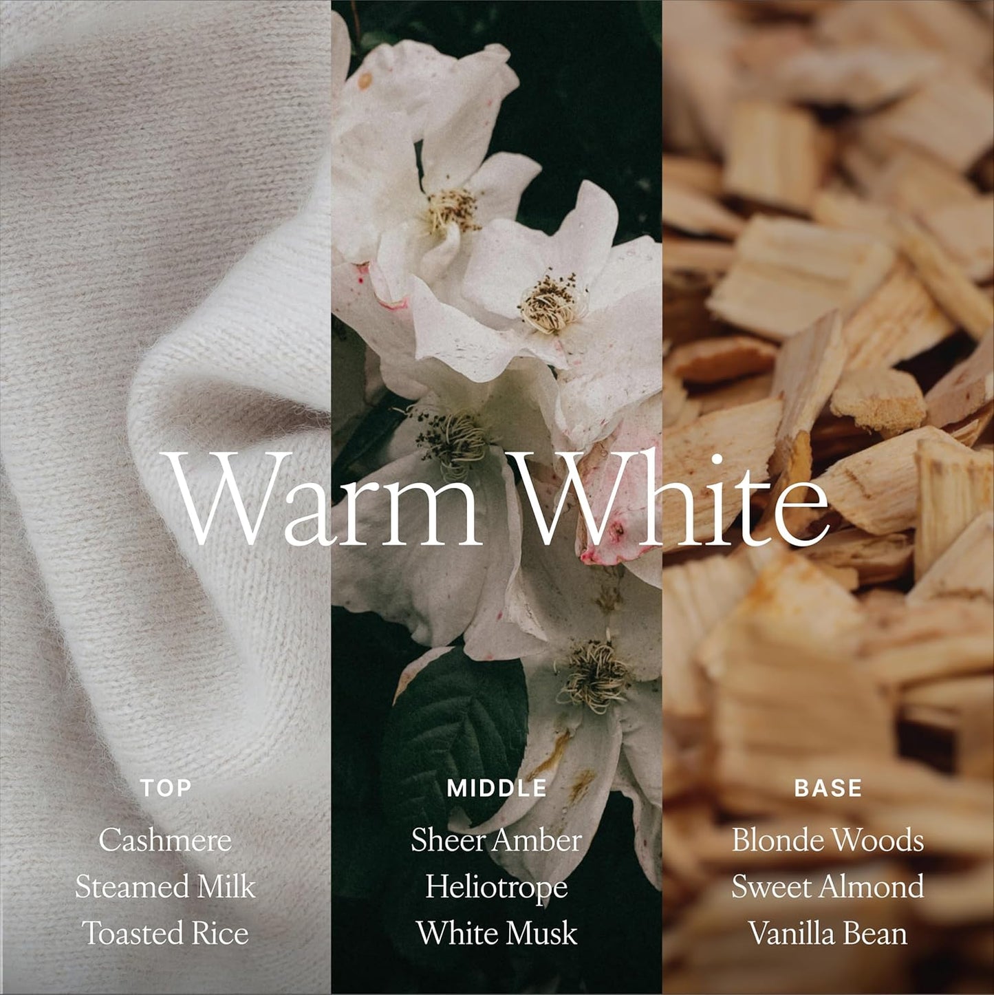 Antica Farmacista Home Ambiance Diffuser - Long-Lasting Reed Scent Diffuser - Luxury Room Freshener Gift - Warm White, 16.9 fl oz