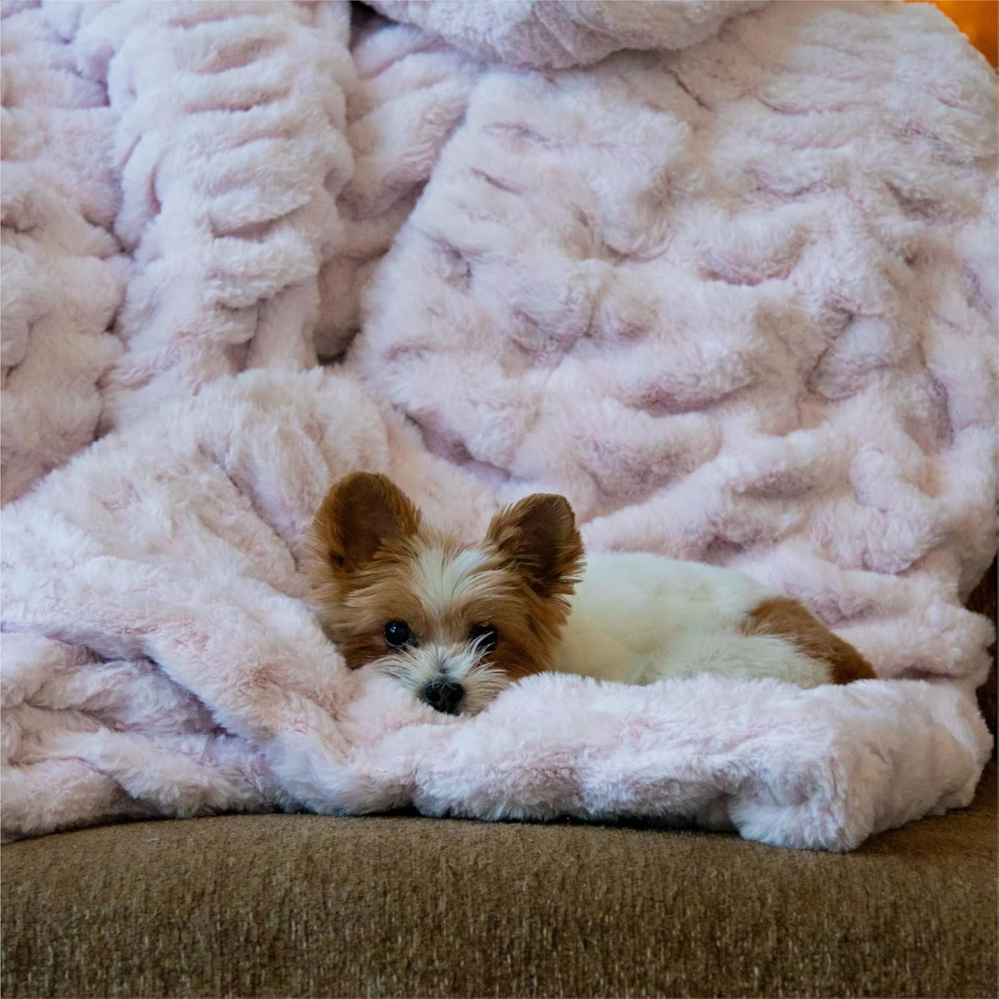 Minky Designs Blossom Pink Minky Blanket – Ultra Soft Faux Fur Throw Blanket for Couch, Bed & Home – Fluffy, Warm & Luxurious – Chic Collection (Medium, 50x60)