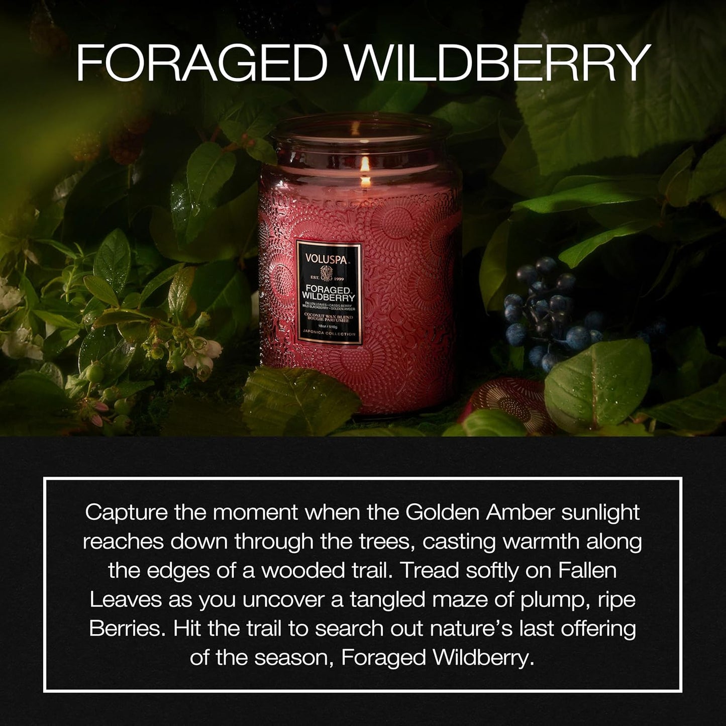 Voluspa Foraged Wildberry Soy Wax Jar Candle - 18 Oz, Spring-Summer