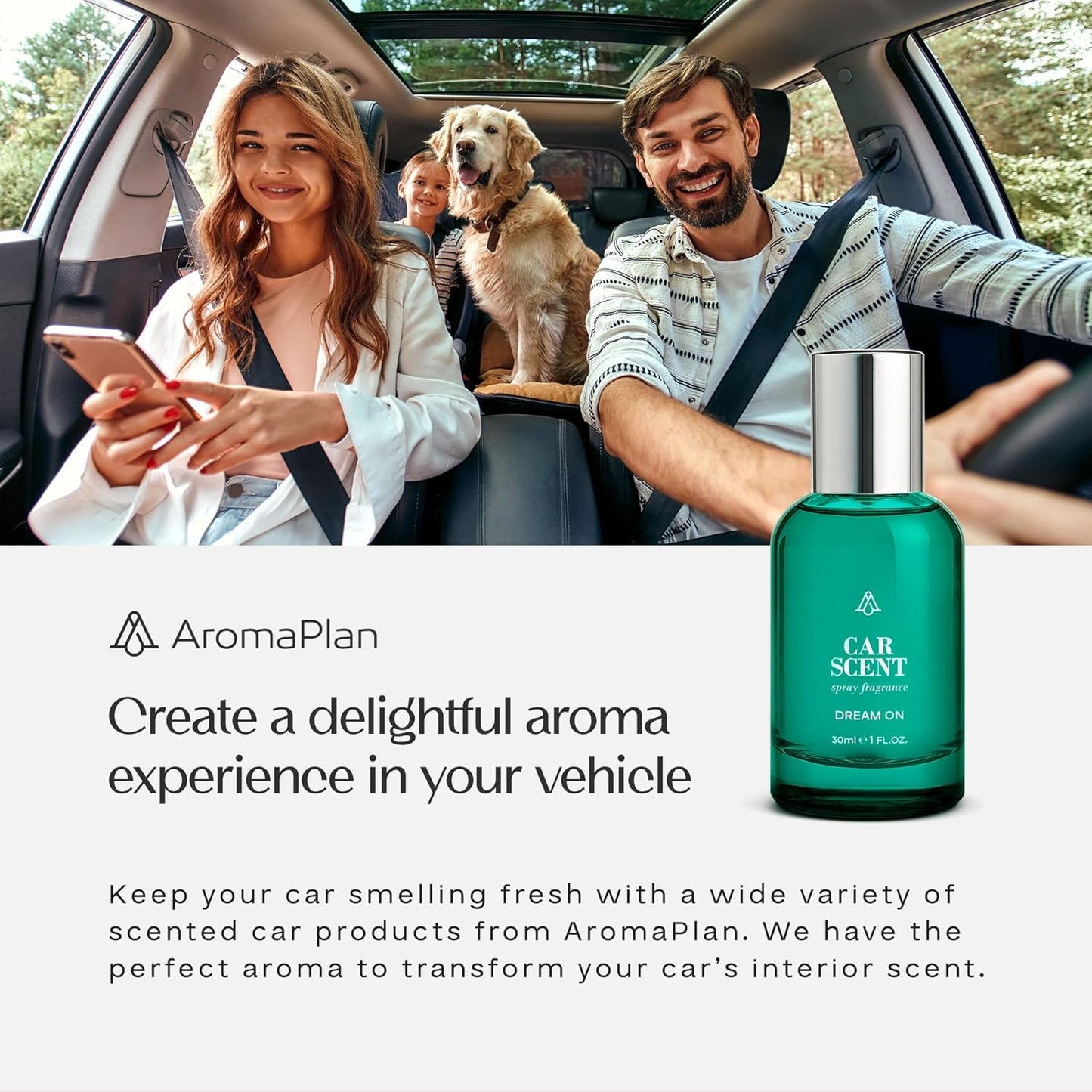 AromaPlan Natural Room Spray & Car Fragrance Kit, Bamboo - Concentrated, Non-Toxic, Odor Eliminator & Long Lasting- Room Spray Air Freshener-Home, Car - 5 Star Hotel Scent Fragrance (100&30 ml)