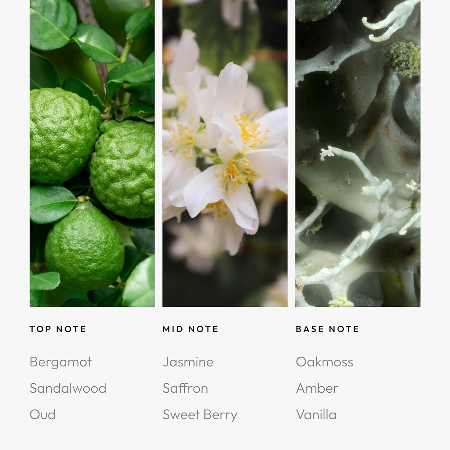 Aroma360 - Chandelier Fragrance Oil Blend | Hotel Inspired for Luxury Essential Oil Diffusers | Aromatherapy Scent Diffuser Oil | Bergamot, Woodsy Sandalwood, and Flirtatious Saffron - 50ML