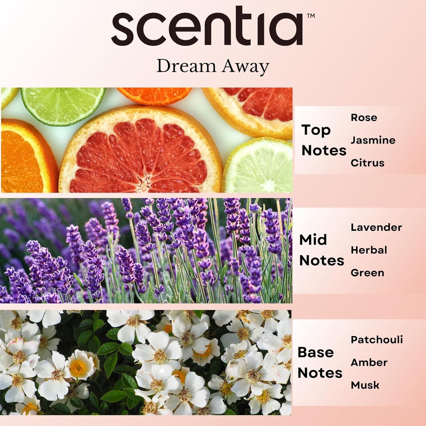 Scentia Fragrance Oil Blend, Inspired by Iconic Perfume, Home Luxury Scents, Essential Oil Blend for Aromatherapy Diﬀusers, Humidifiers & Candle Making -Dream Away 20ml, 0.67 Fl Oz, Thanksgiving Gift