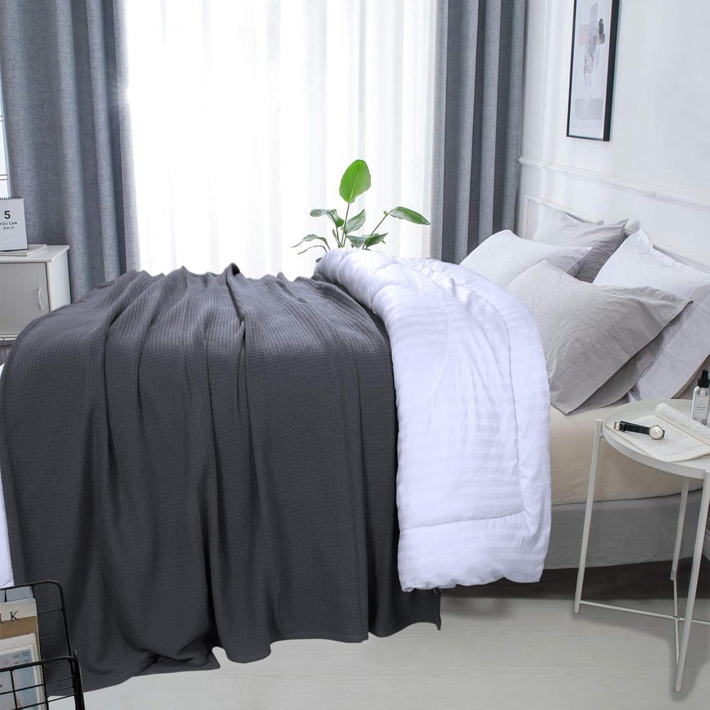 DOLLCENT 100% Cotton Twin Size Blanket for Bed, Premium Soft Combed Lightweight Blankets, Washed Breathable Cozy Bed Throw Blanket, Grey Twin Cotton Blankets for All Season: Grey (66"x90")
