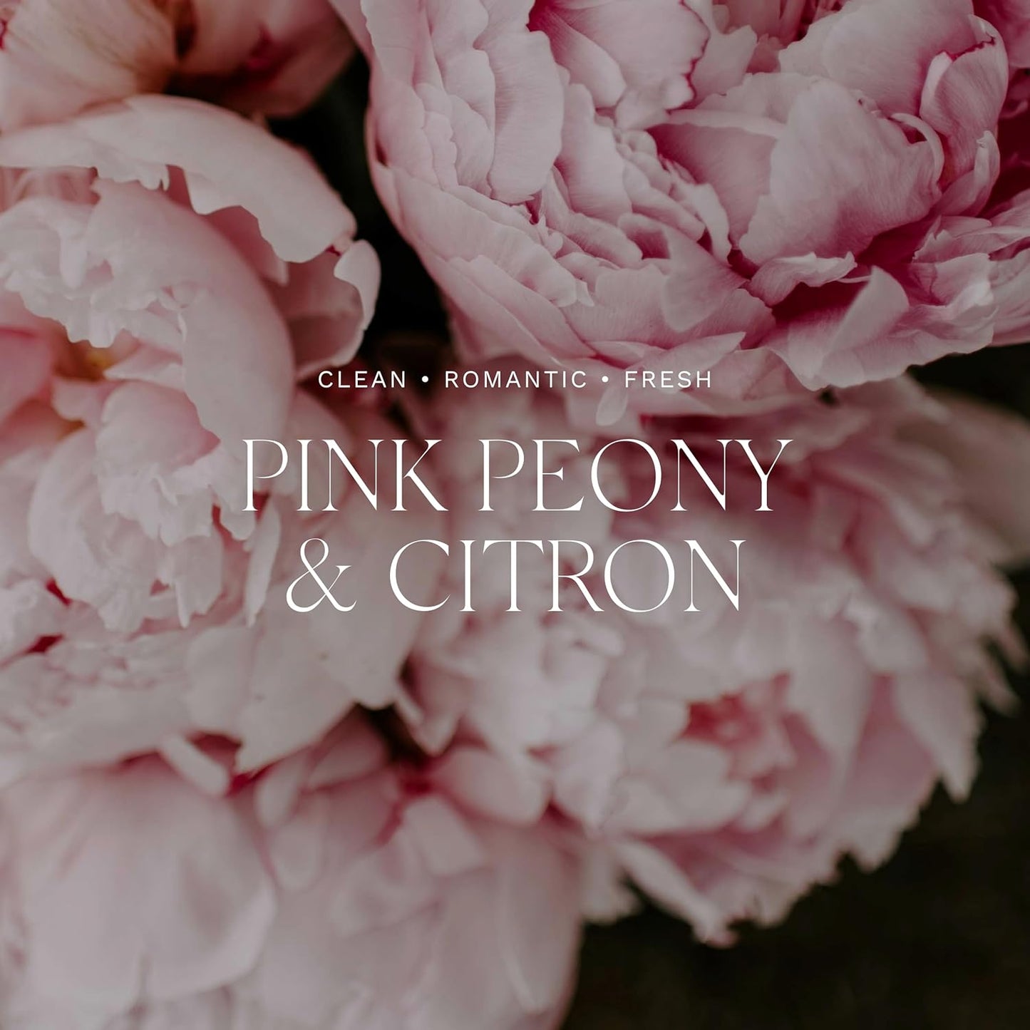 Antica Farmacista Home Ambiance Diffuser - Long-Lasting Reed Scent Diffuser - Luxury Room Freshener Gift - Pink Peony & Citron, 16.9 fl oz