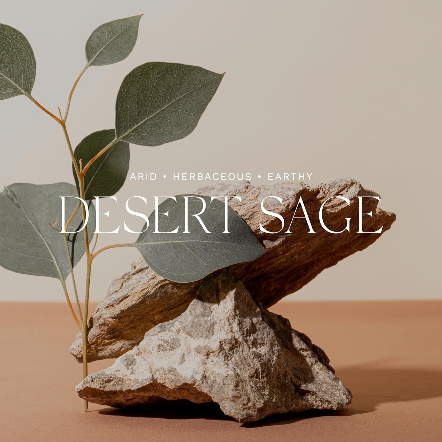 Antica Farmacista Home Ambiance Diffuser - Long-Lasting Reed Scent Diffuser - Luxury Room Freshener Gift - Desert Sage, 16.9 fl oz