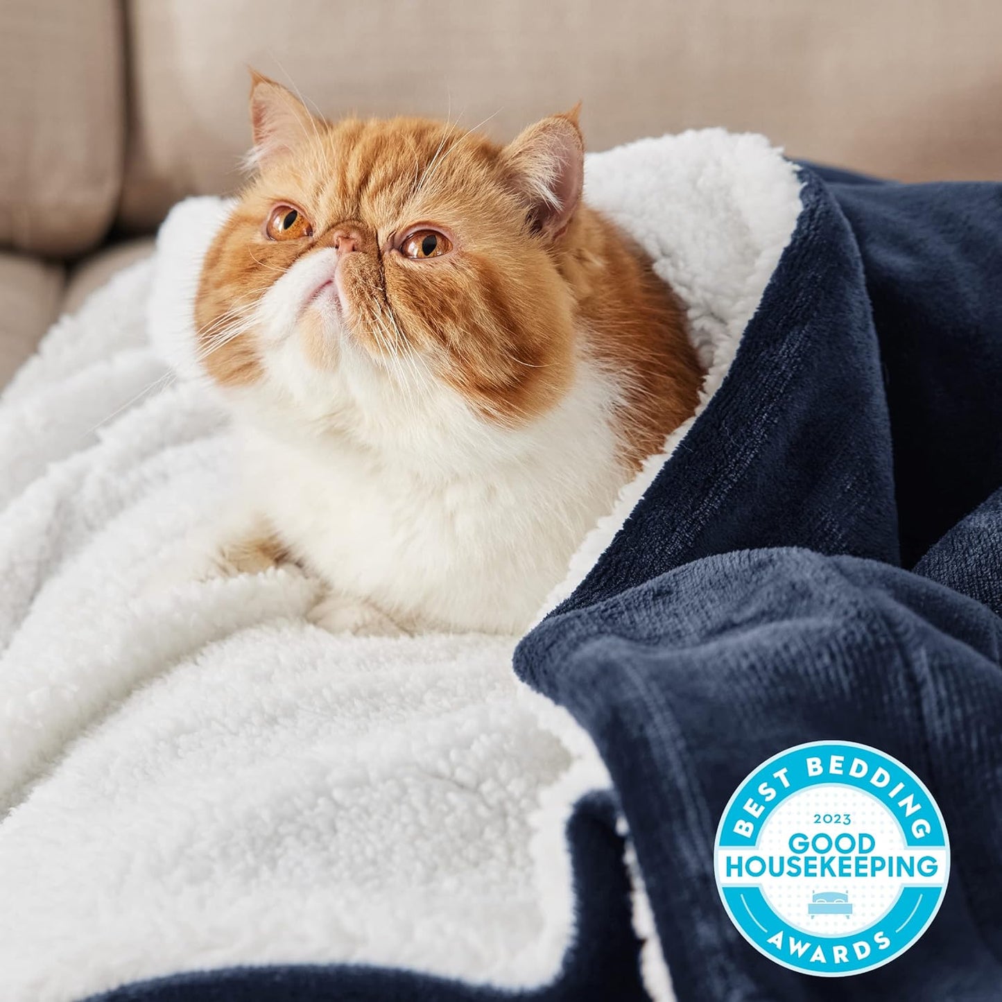 Bedsure GentleSoft Sherpa Fleece Blankets Queen Size for Bed - Thick and Warm Throw for Women and Men, Soft Fuzzy Plush Queen Blanket for Winter, Navy, 90x90 Inches