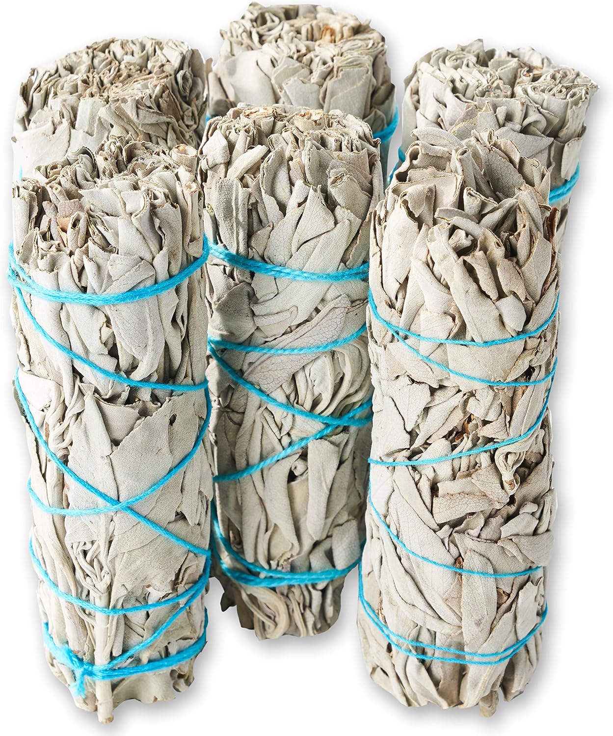 12 Pack White Sage ~ Sage Smudge Sticks for Smudging & Cleansing Energy ~ Bulk/Wholesale ~ Sustainably Grown (12 Pack)