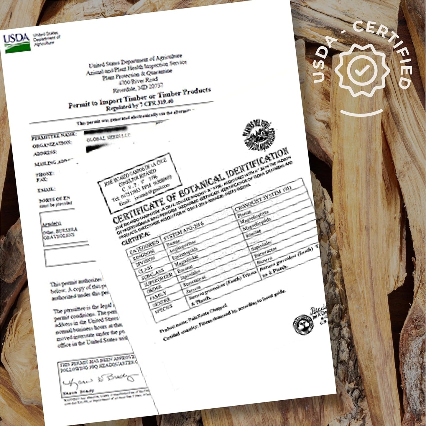 Palo Santo Premium Sticks (20), Smudging Incense High Resine, Pure Palo Santo Wood Certified from Peru. Ethically Sustainably Harvested. Protection, Meditation, Spiritual Cleansing
