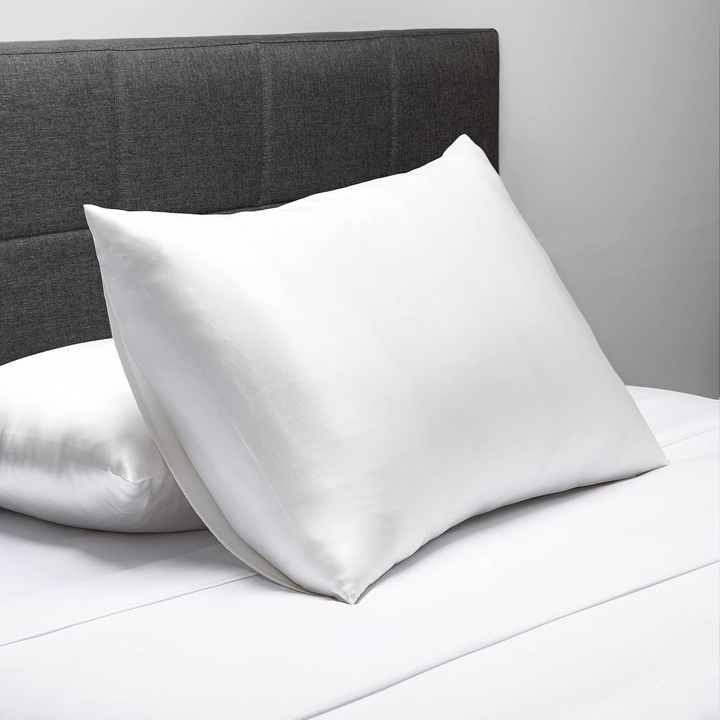 Fishers Finery 25mm 100% Pure Mulberry Silk Pillowcase Set (White Queen 2 Pack)
