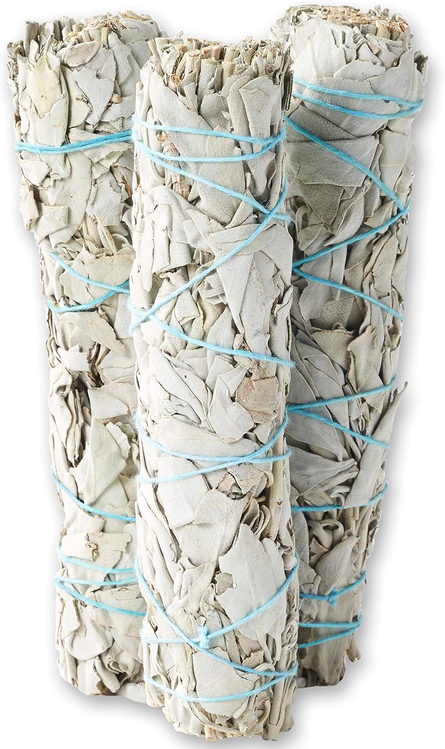 9-Inch White Sage Smudge Sticks ~ Sustainably Harvested ~ for Smudging & Cleansing ~ Instructions Included (3 Pack)