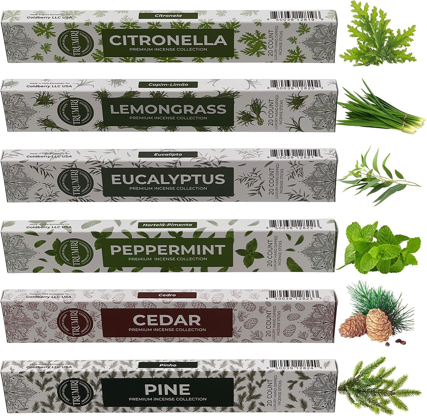 Leafy Incense Sticks Variety Pack - 120 Insence-Sticks (6 Incents x 20 Insense) - Citronella Lemongrass Eucalyptus Peppermint Pine Cedar - Natural Inscents-Sticks Non Toxic Inciensos + Incense Holder