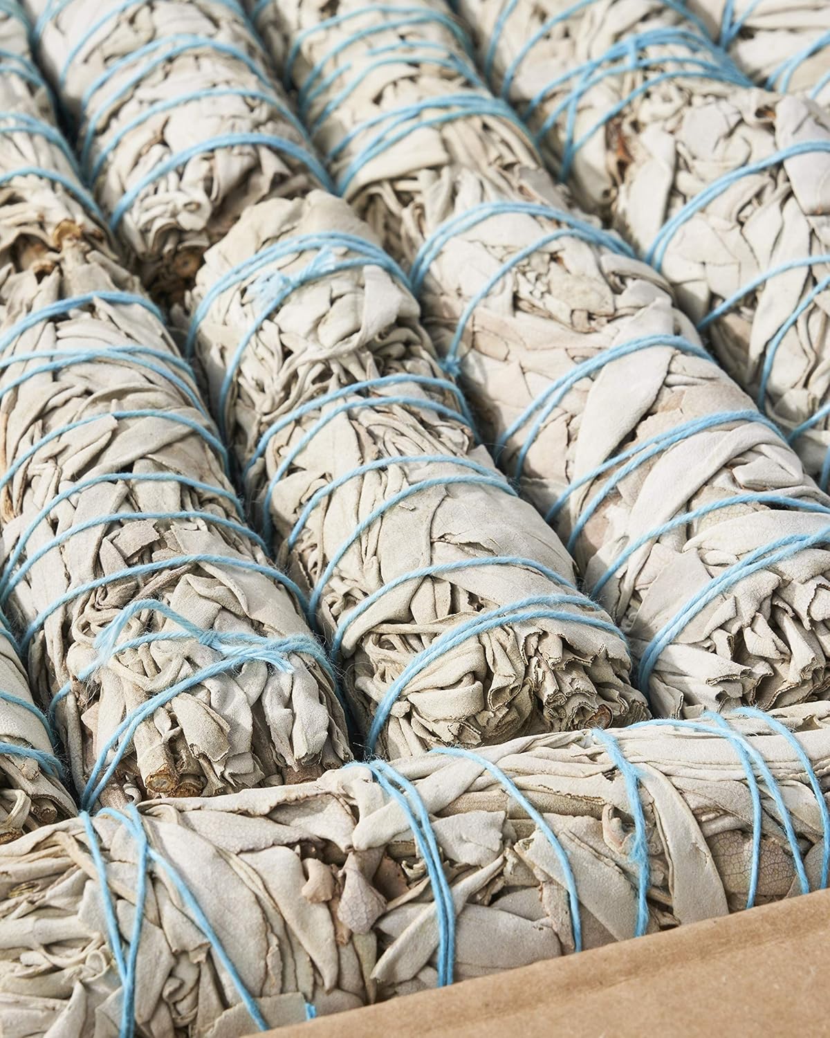 25 White Sage 4" ~ Sage Smudge Sticks for Smudging & Cleansing Energy ~ Bulk/Wholesale ~ Sustainably Grown (25 Pack)