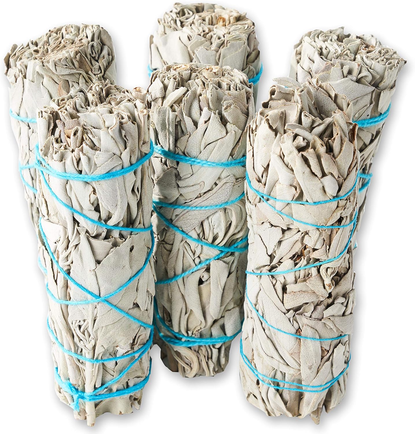 6 Pack White Sage ~ Sage Smudge Sticks for Smudging & Cleansing Energy ~ Bulk/Wholesale ~ Sustainably Grown (6 Pack)