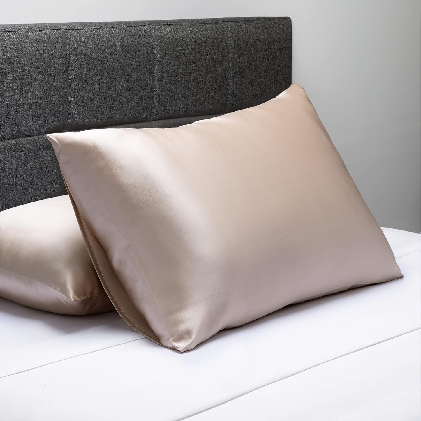 Fishers Finery 25mm 100% Pure Mulberry Silk Pillowcase 2 Pack (Taupe Queen 2 Pack)